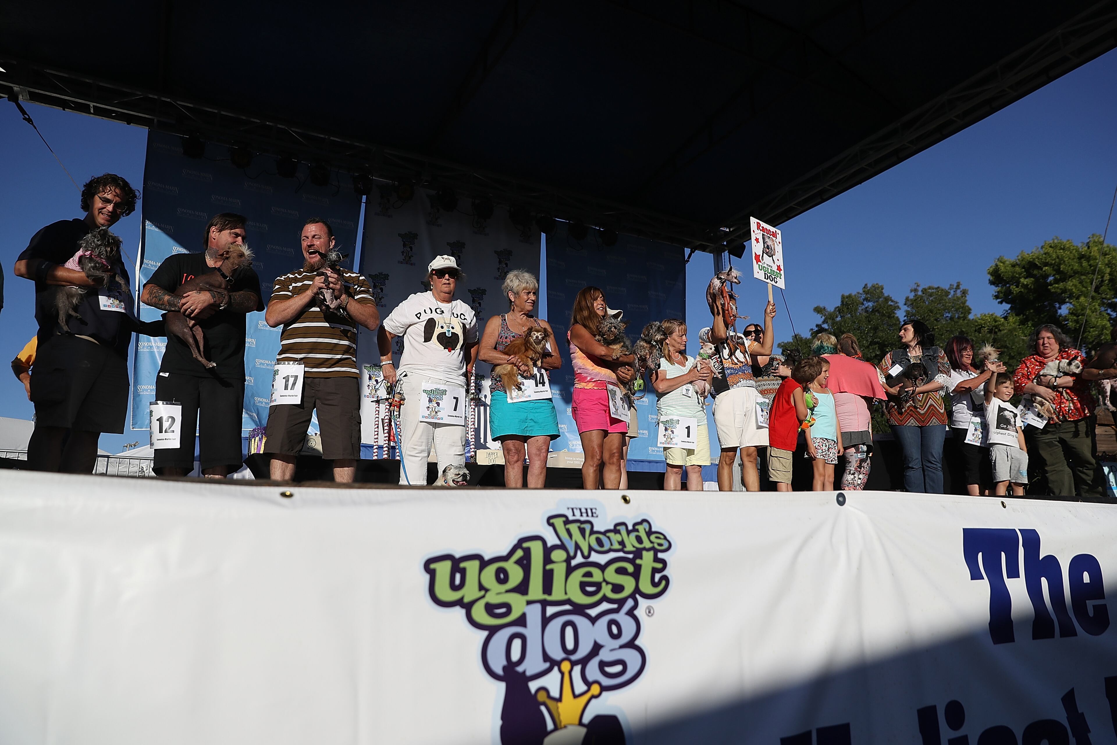 PETALUMA, CA - JUNE 24: Contestants line up during judging at the 2016 World's Ugliest Dog contest at the Sonoma-Marin Fair on June 24, 2016 in Petaluma, California. Sweepee Rambo, a blind Chinese Crested dog, won the annual World's Ugliest Dog contest. (Photo by Justin Sullivan/Getty Images)