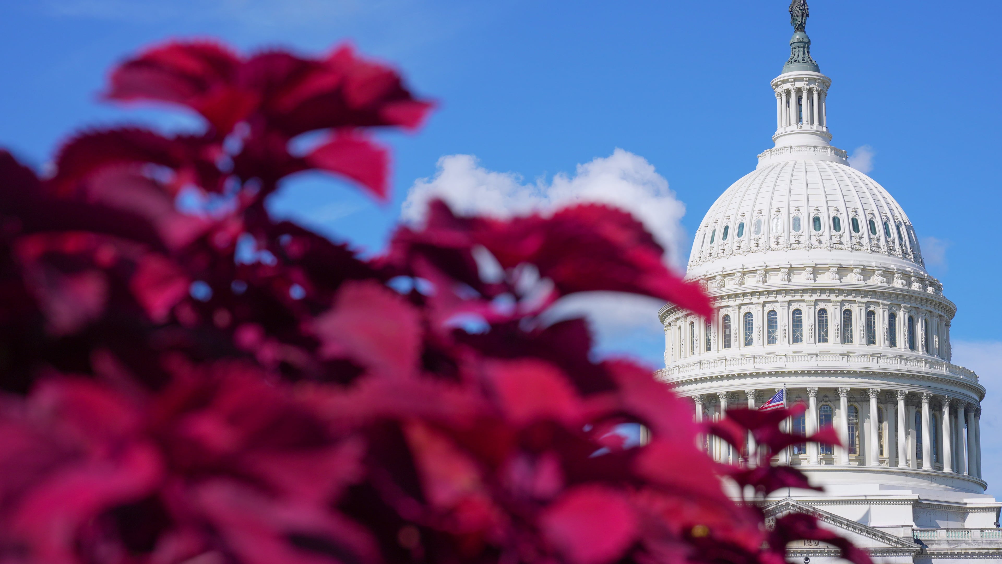 The U.S. Capitol is seen Friday, Sept. 18, 2026, in Washington. (AP Photo/Mariam Zuhaib)