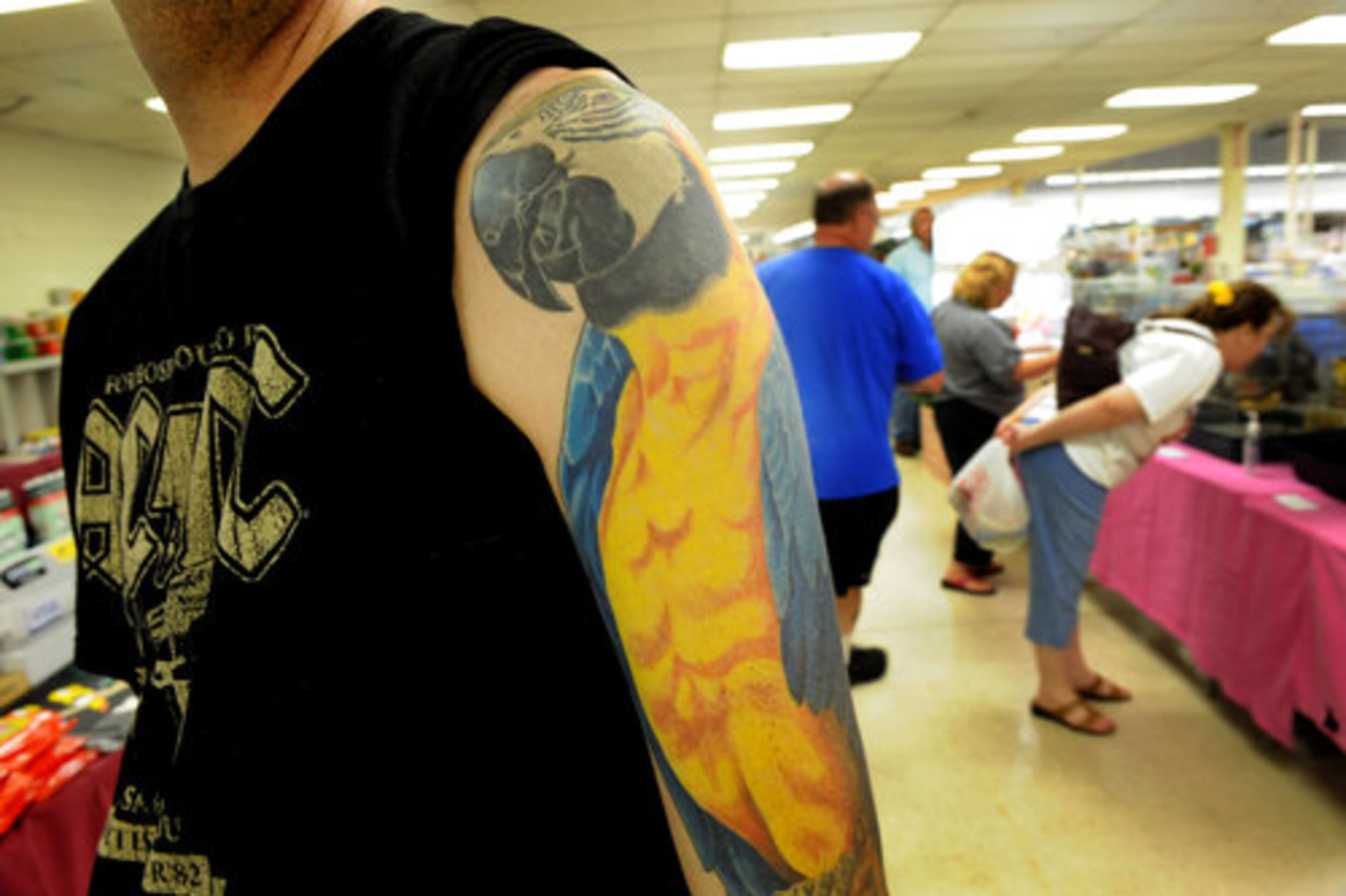 Les Lattimer, of Morganton, sports a tattoo of his pet macaw, Bosco, on his arm.