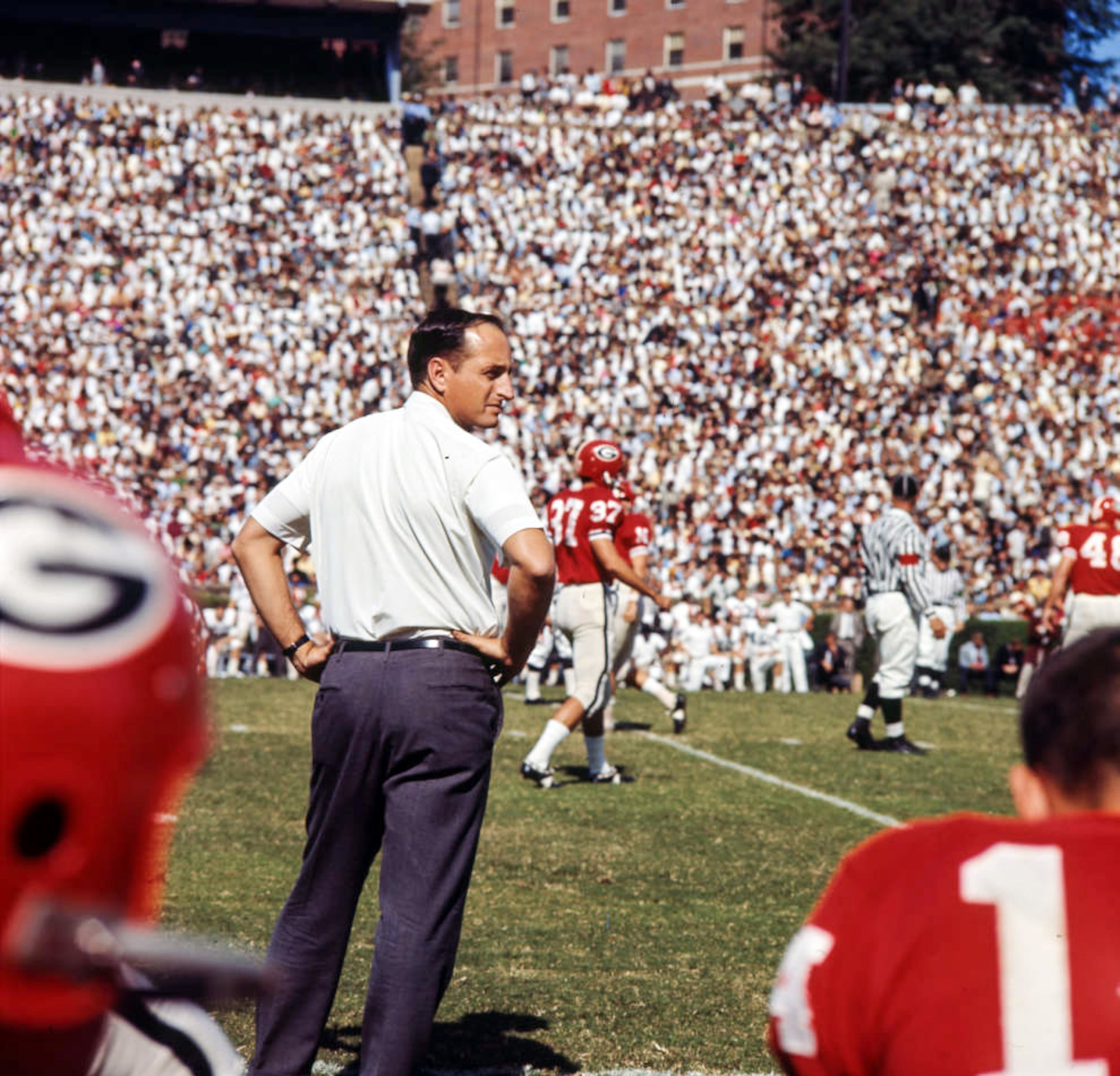 Coach Vince Dooley watches the game from the sidelines, 1965