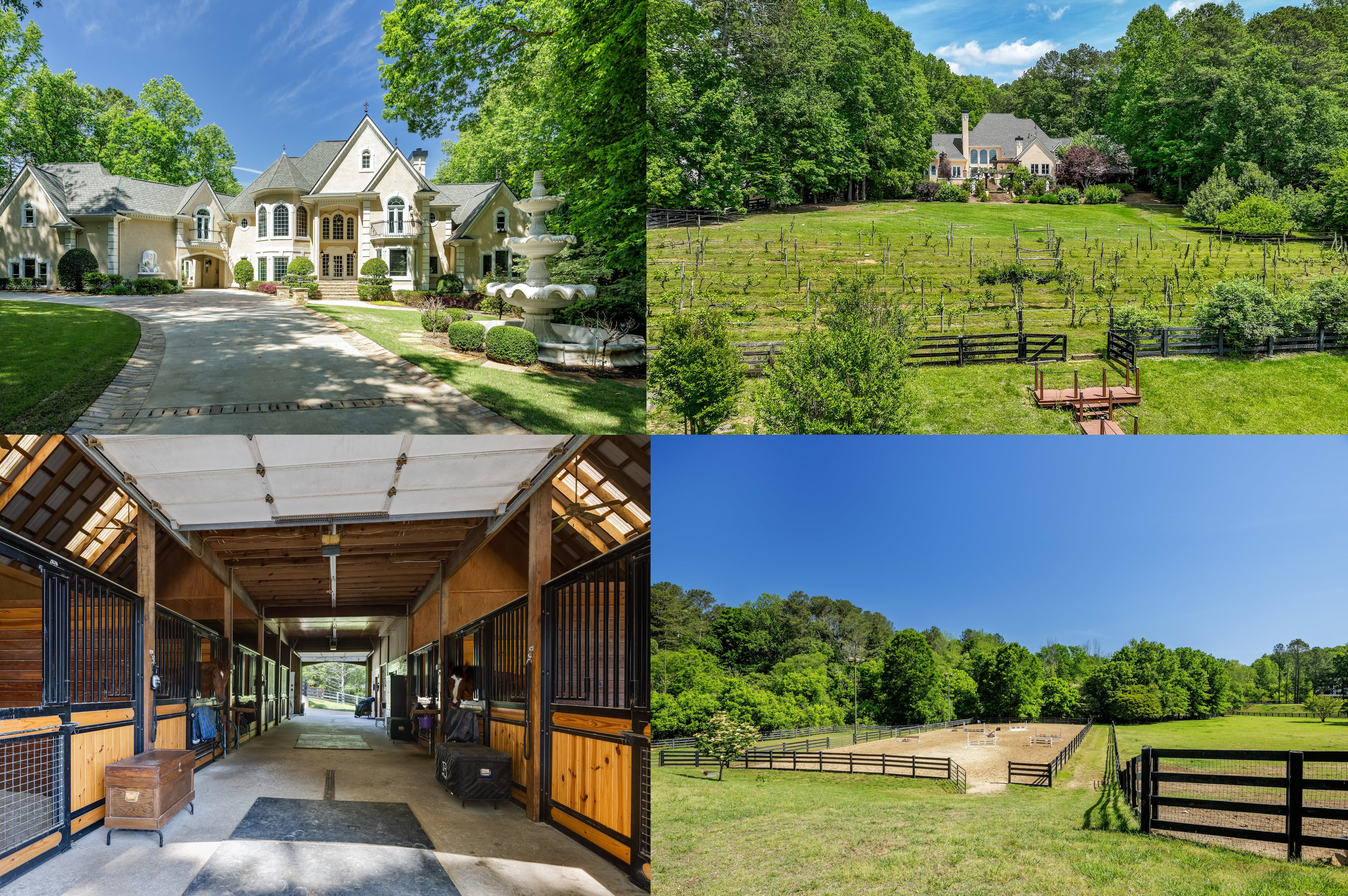 Luxurious Atlanta estate going to auction is both a ranch and a vineyard