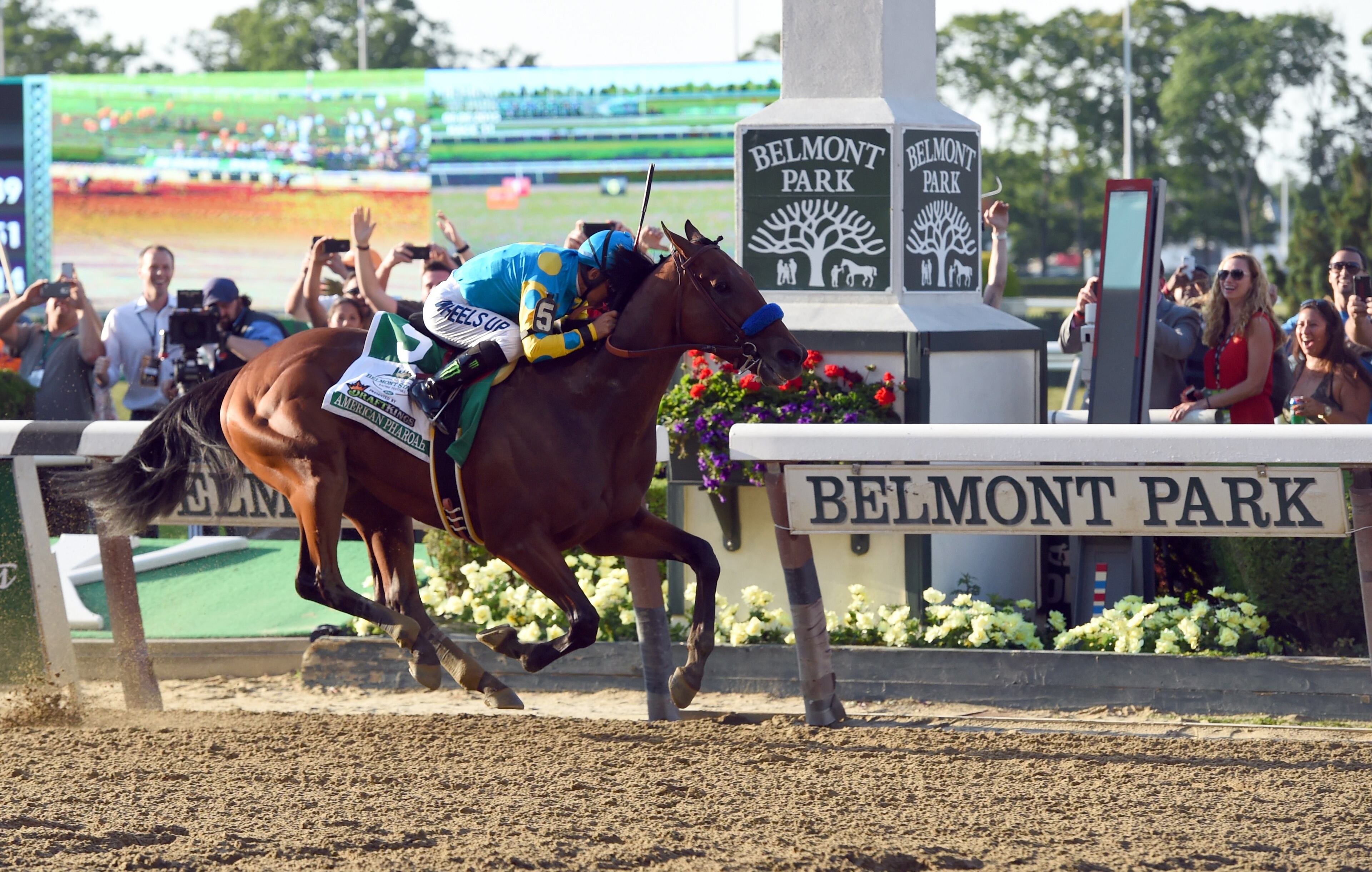 American Pharoah ridden by Victor Espinoza crosses the finish line to win the 147th Belmont Stakes at Belmont Park on June 6, 2015 in Elmont, New York. American Pharoah ended US racing's 37-year Triple Crown drought on Saturday with a convincing victory in the Belmont Stakes. AFP PHOTO / TIMOTHY A. CLARY (Photo credit should read TIMOTHY A. CLARY/AFP/Getty Images)
