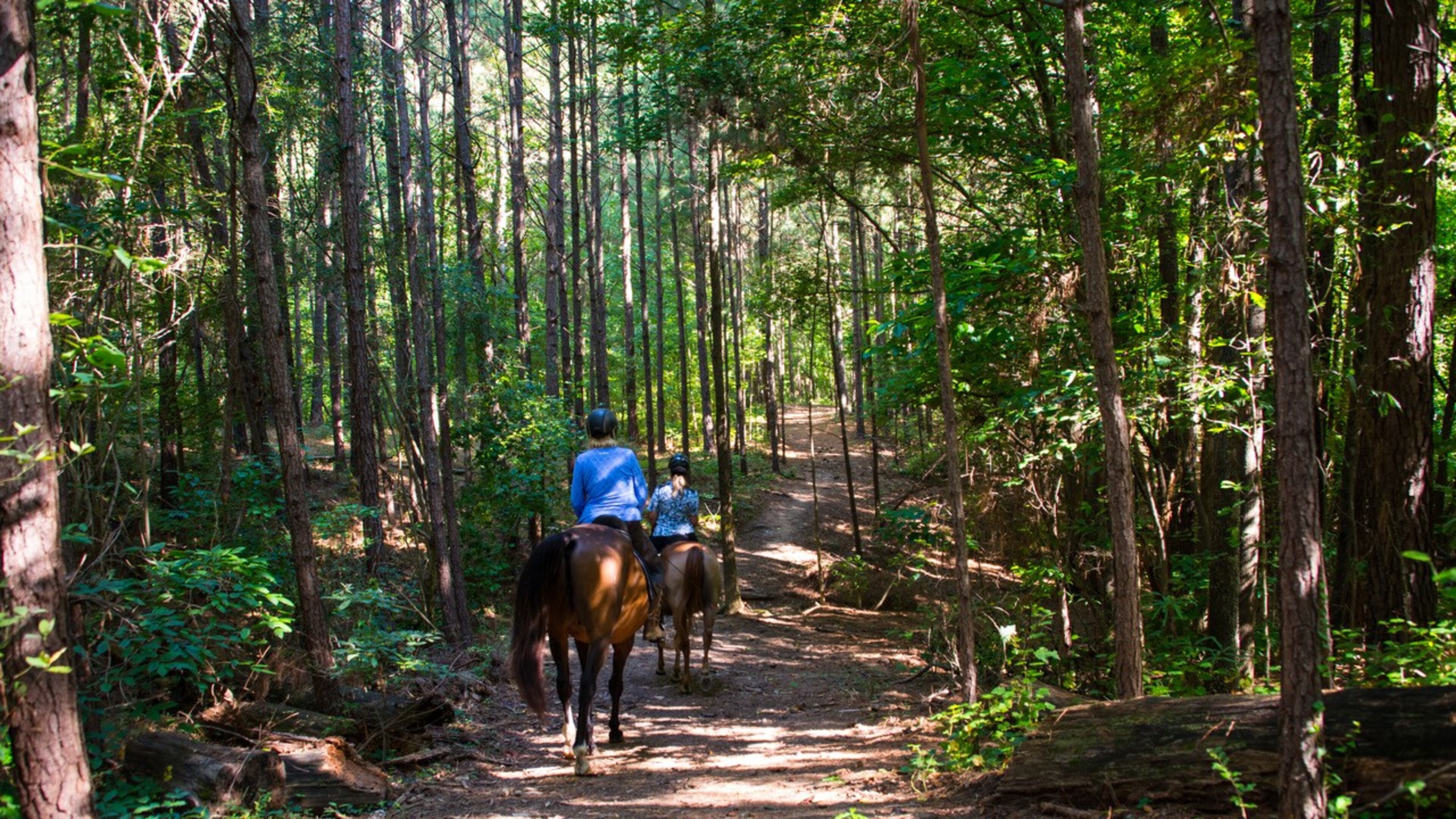 The newly formed Milton Trails Advisory Committee has adopted their mission statement and inviting the community to participate in the process. COURTESY CITY OF MILTON