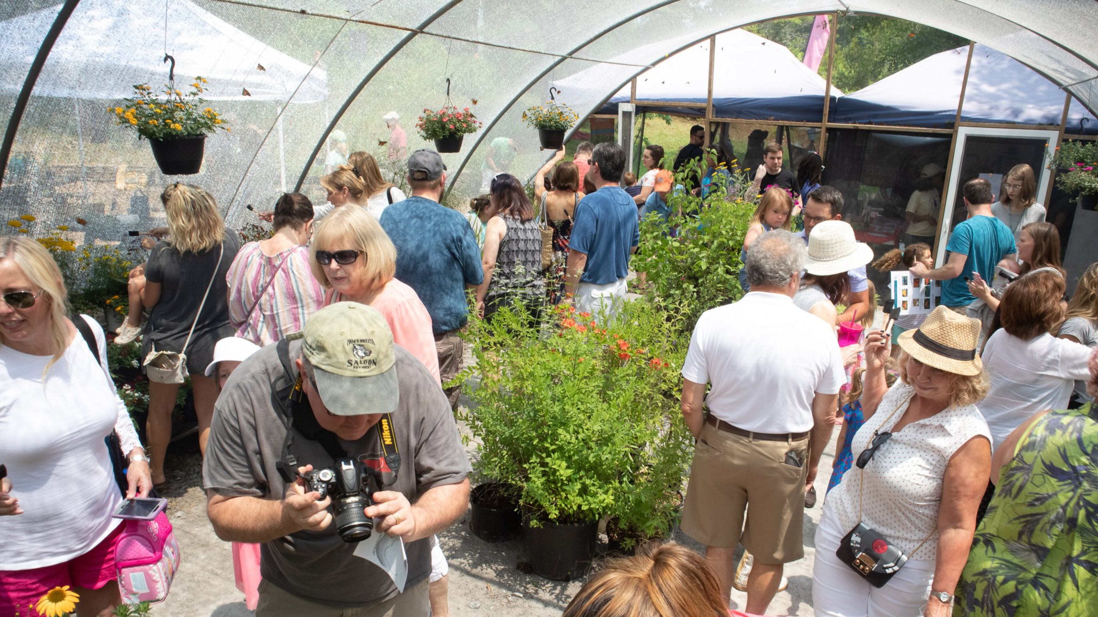 Fairgoers fill the Butterfly Encounter taking photographs and looking at Butterflies during the 20th Annual Flying Colors Butterfly Festival at the Chattahoochee Nature Center in Roswell June 2, 2019. STEVE SCHAEFER / SPECIAL TO THE AJC