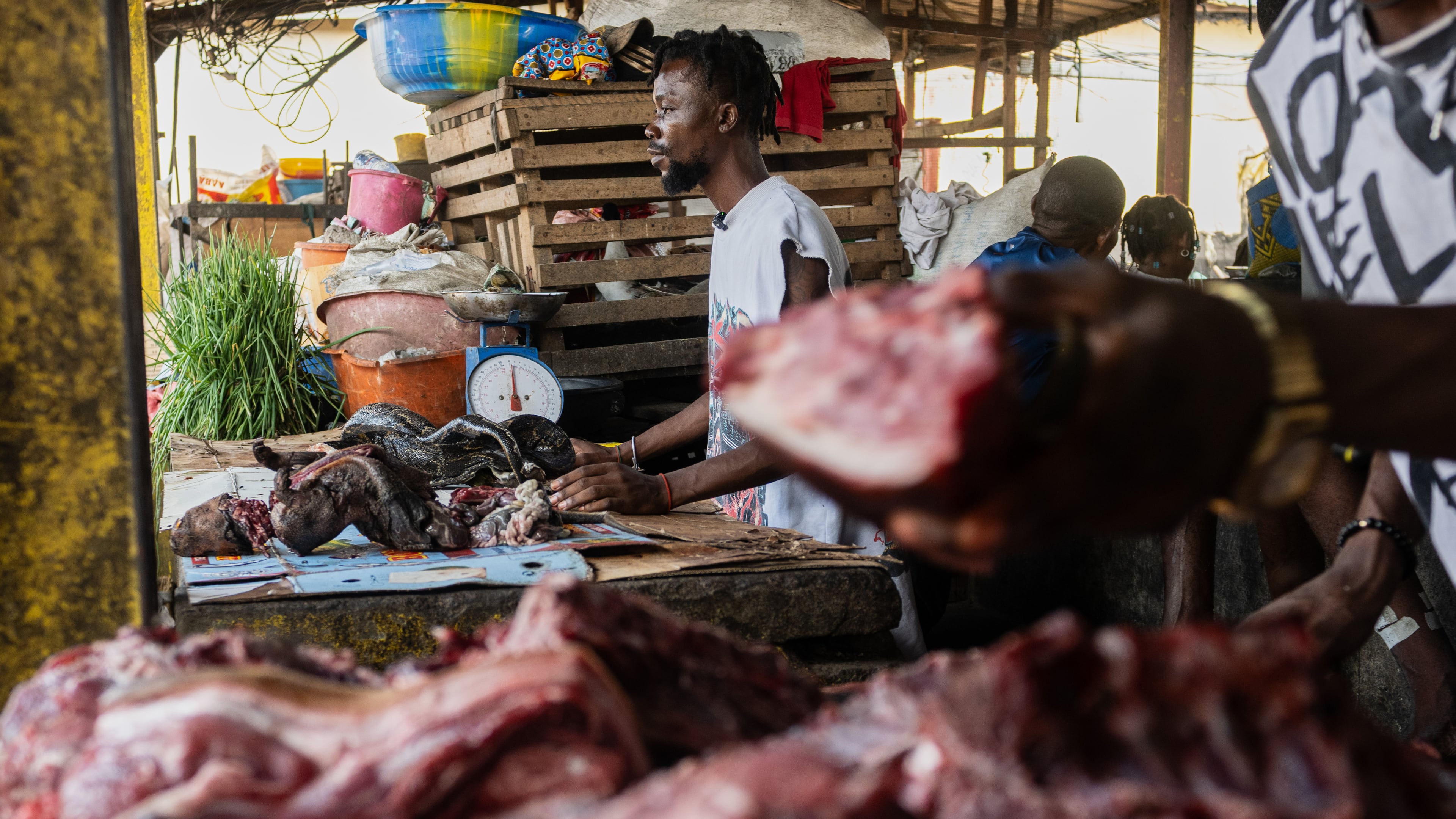 Guyva Mputu, a vendor at the Masina market, displays bushmeat for sale in Kinshasa, Congo, Thursday, April 9, 2026. (AP Photo/Samy Ntumba Shambuyi)