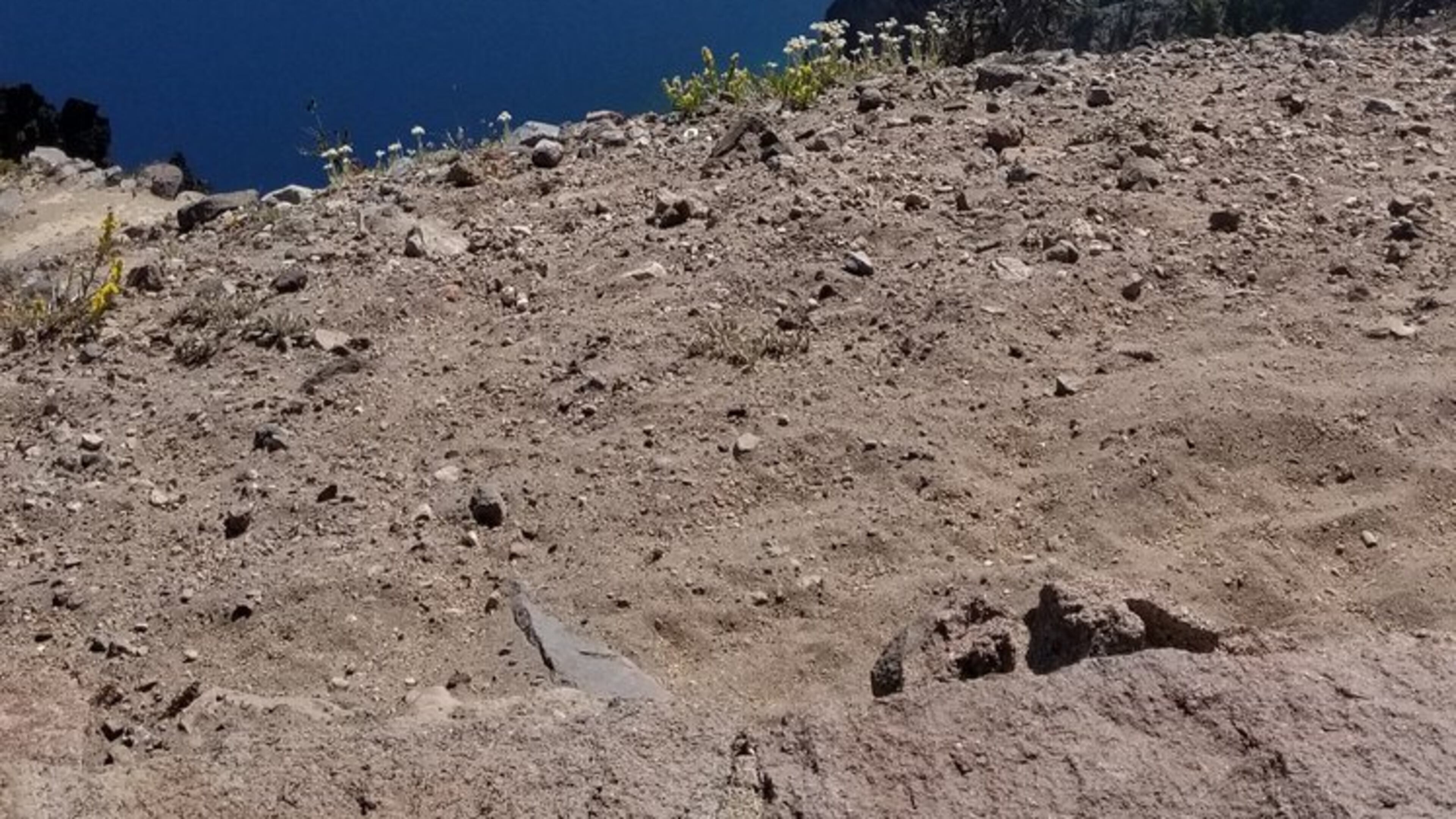 Richard Short and his wife were recently at Crater Lake in Oregon.