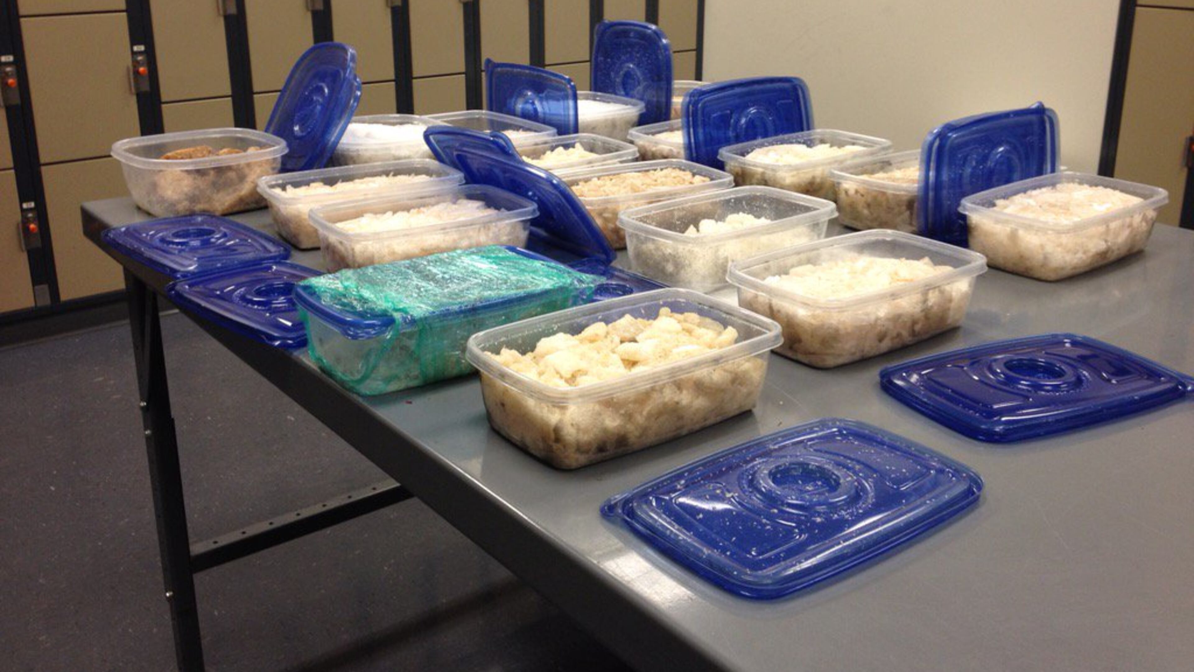 Clayton’s drug task force discovered 93.26 pounds of meth, according to Channel 2 Action News. (Credit: Channel 2 Action News)