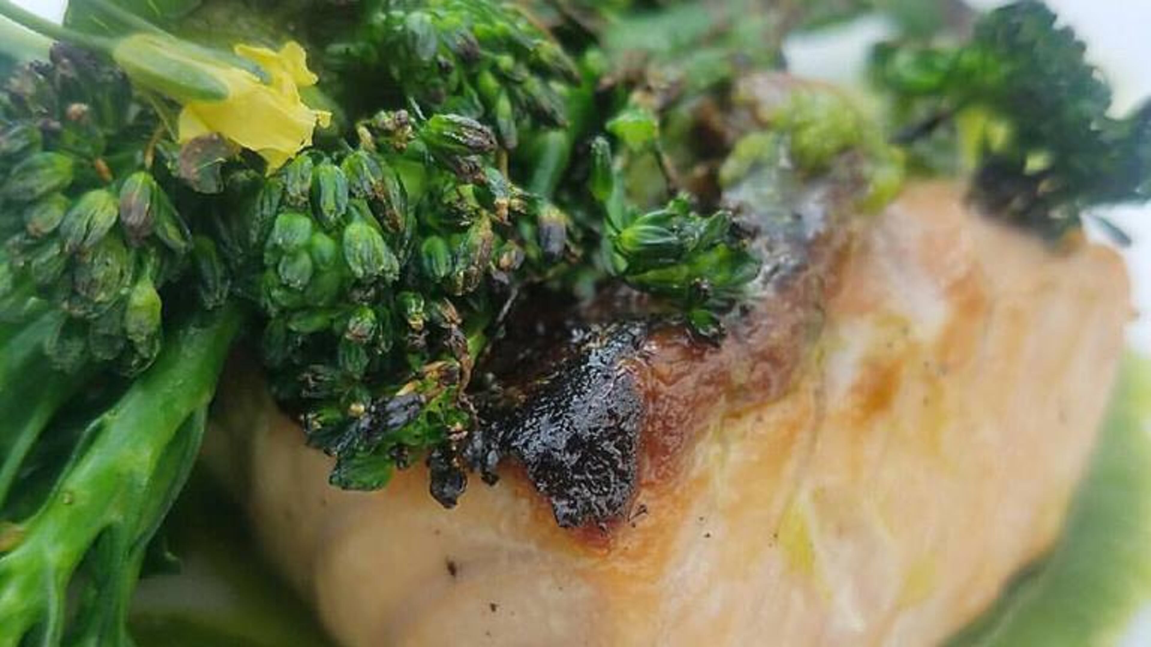 Photo credite: Atlantic salmon with topped with broccolini at Eclipse di Luna. Facebook photo.