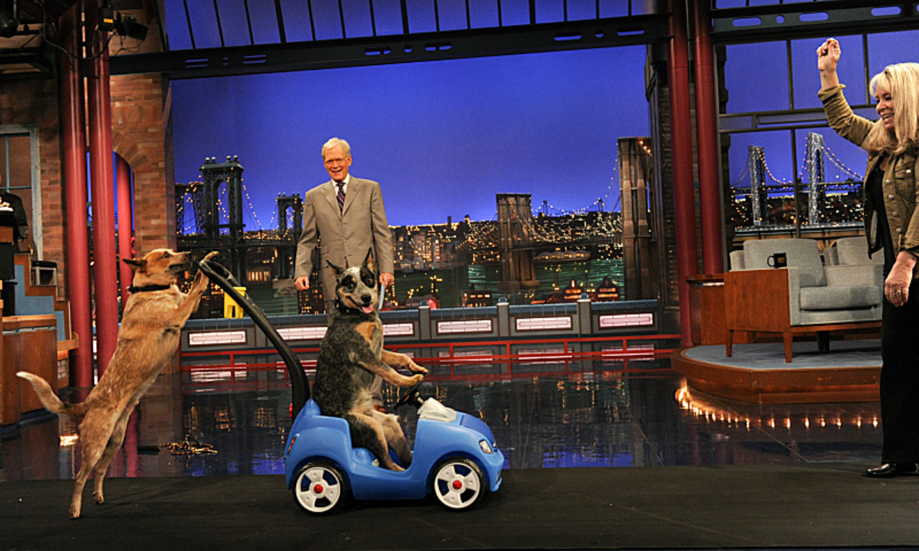Stupid pet tricks with Late Show Host David Letterman on Tuesday, Nov. 13, 2012 on the CBS Television Network. Photo: Heather Wines/CBS 2012 CBS Television Network. All Rights Reserved.