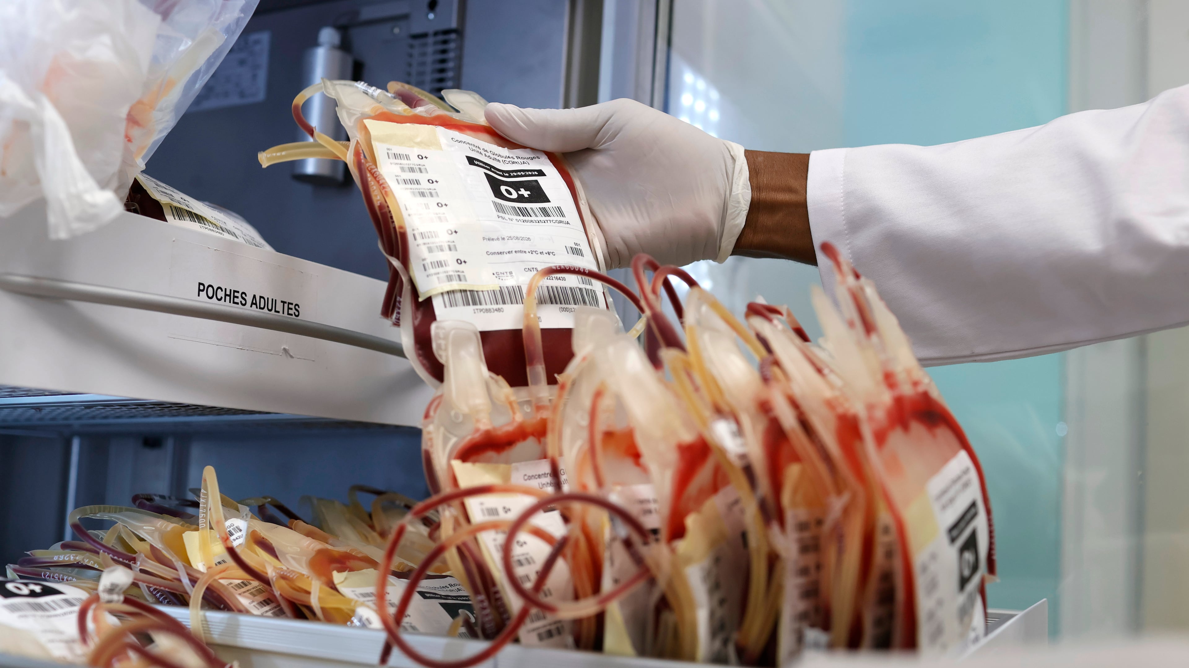 A specialist handles blood bags inside a laboratory at a hospital during a regional congress focused on strengthening laboratory capacity and preparedness following lessons from Ebola and COVID-19, in Lome, Togo, Wednesday, Sept. 16, 2026. (AP Photo/Erick Kaglan)