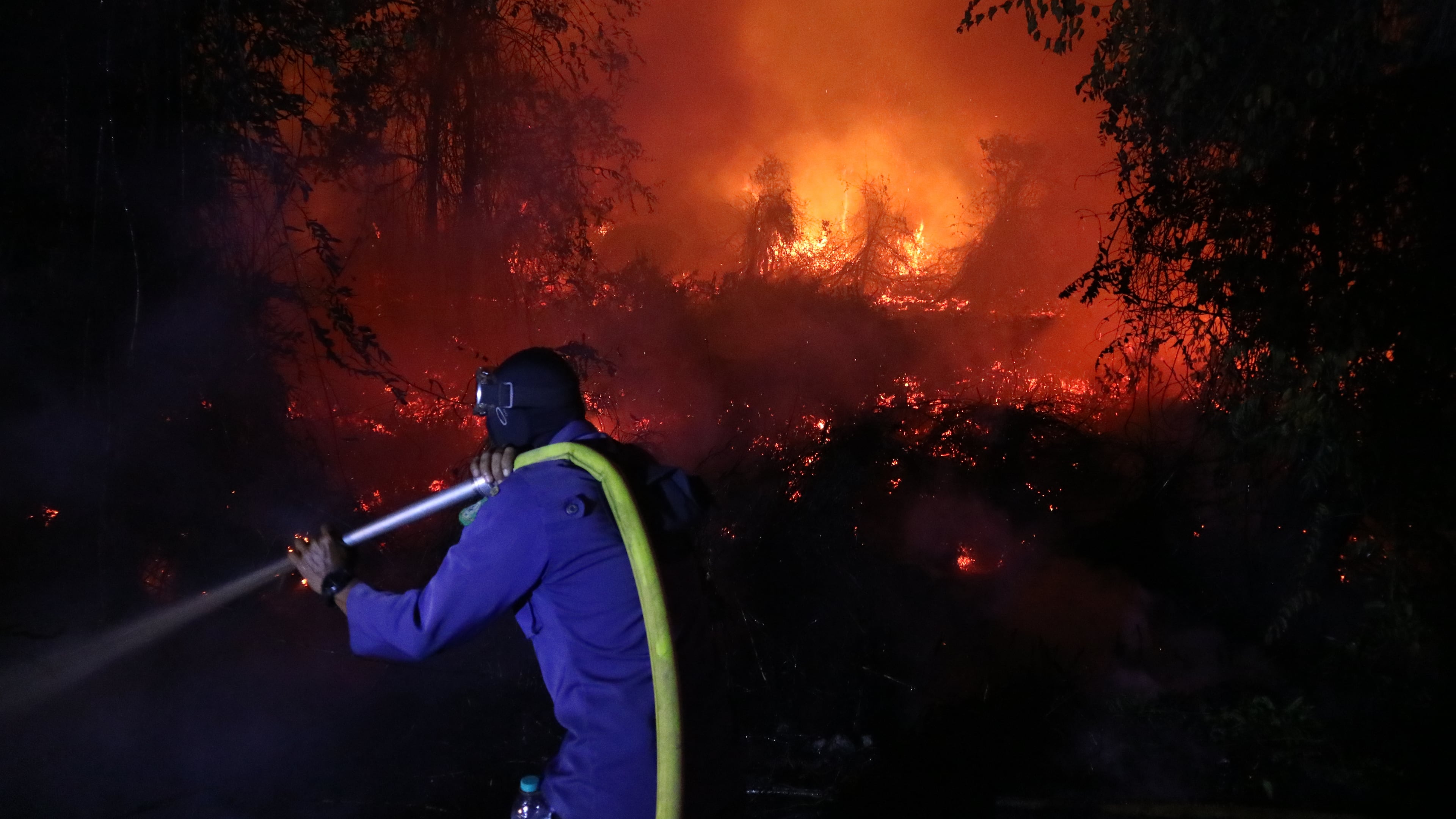 A firefighter attempts to extinguish a wildfire burning through a peatland field in Sampit, Central Kalimantan, Indonesia, Monday, Aug. 24, 2026. (AP Photo/Andri Rizky Agustian)