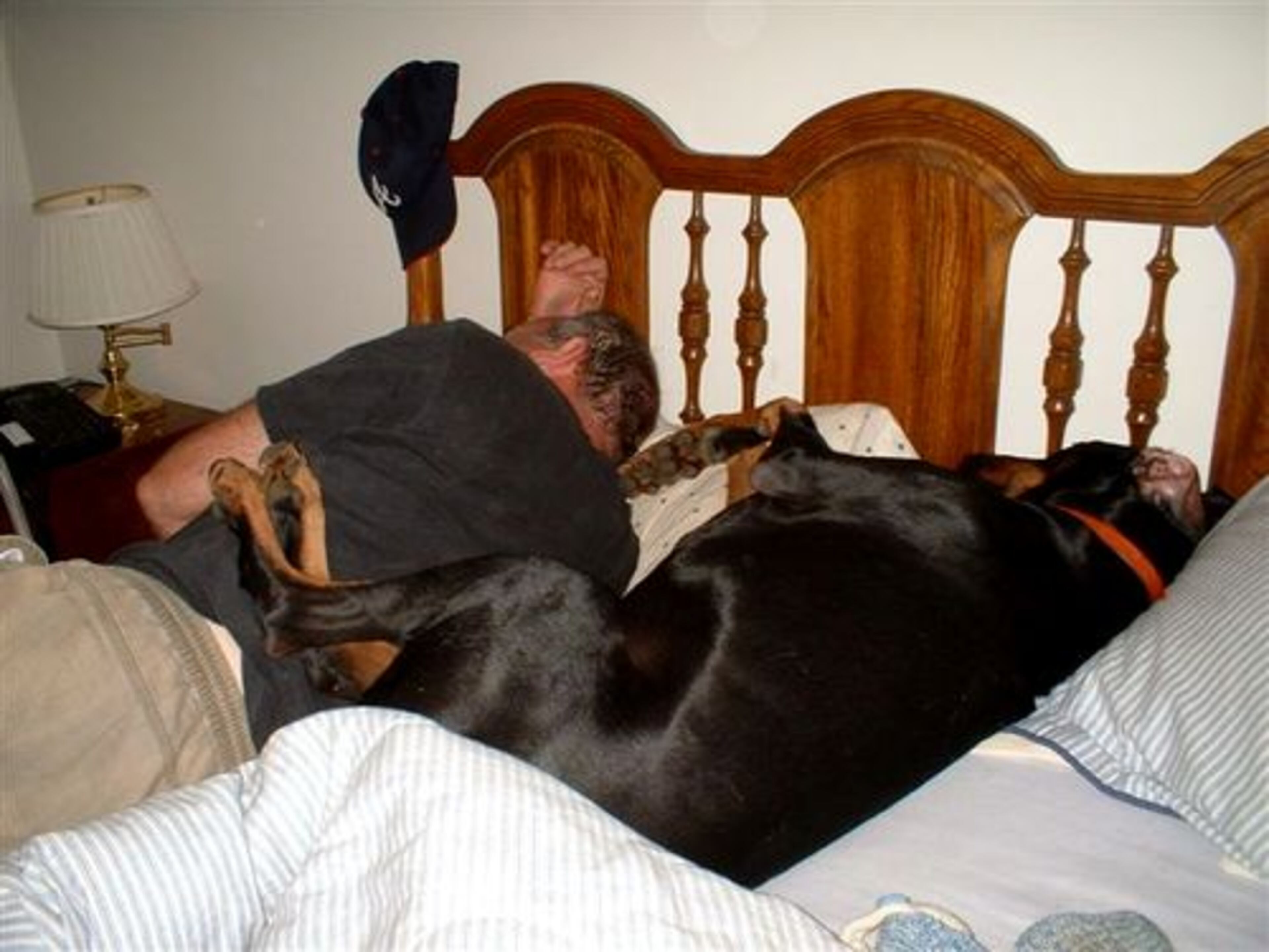 9. DOBERMAN PINSCHER (B) Clearly, dobermans can be spoiled babies...BIG spoiled babies.