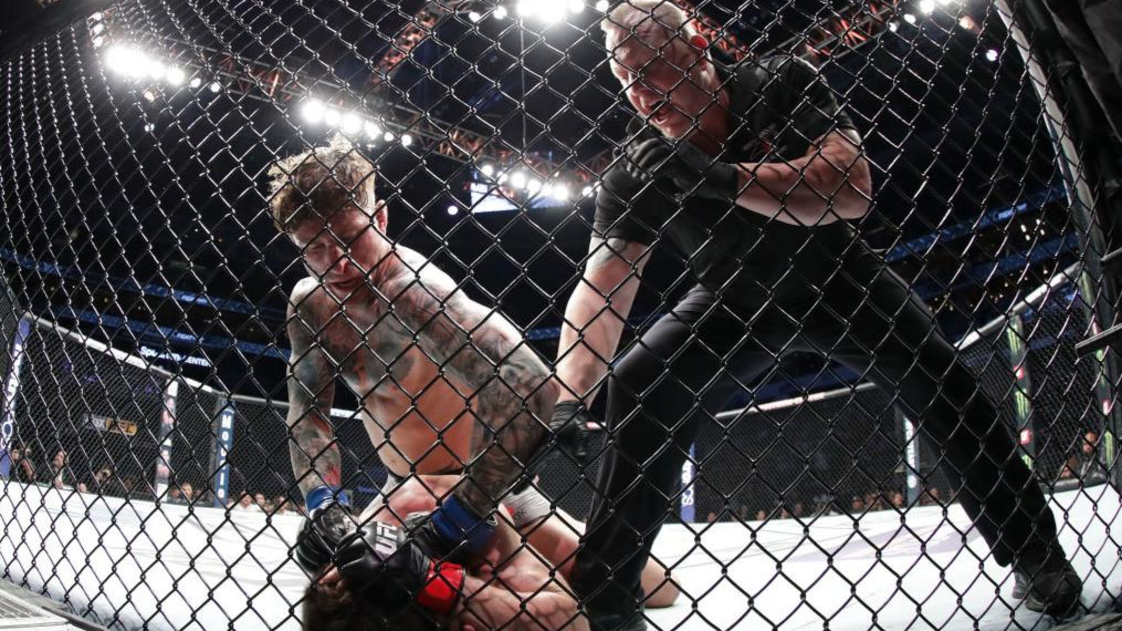 An MMA match in Florida had an unusual ending Saturday night.