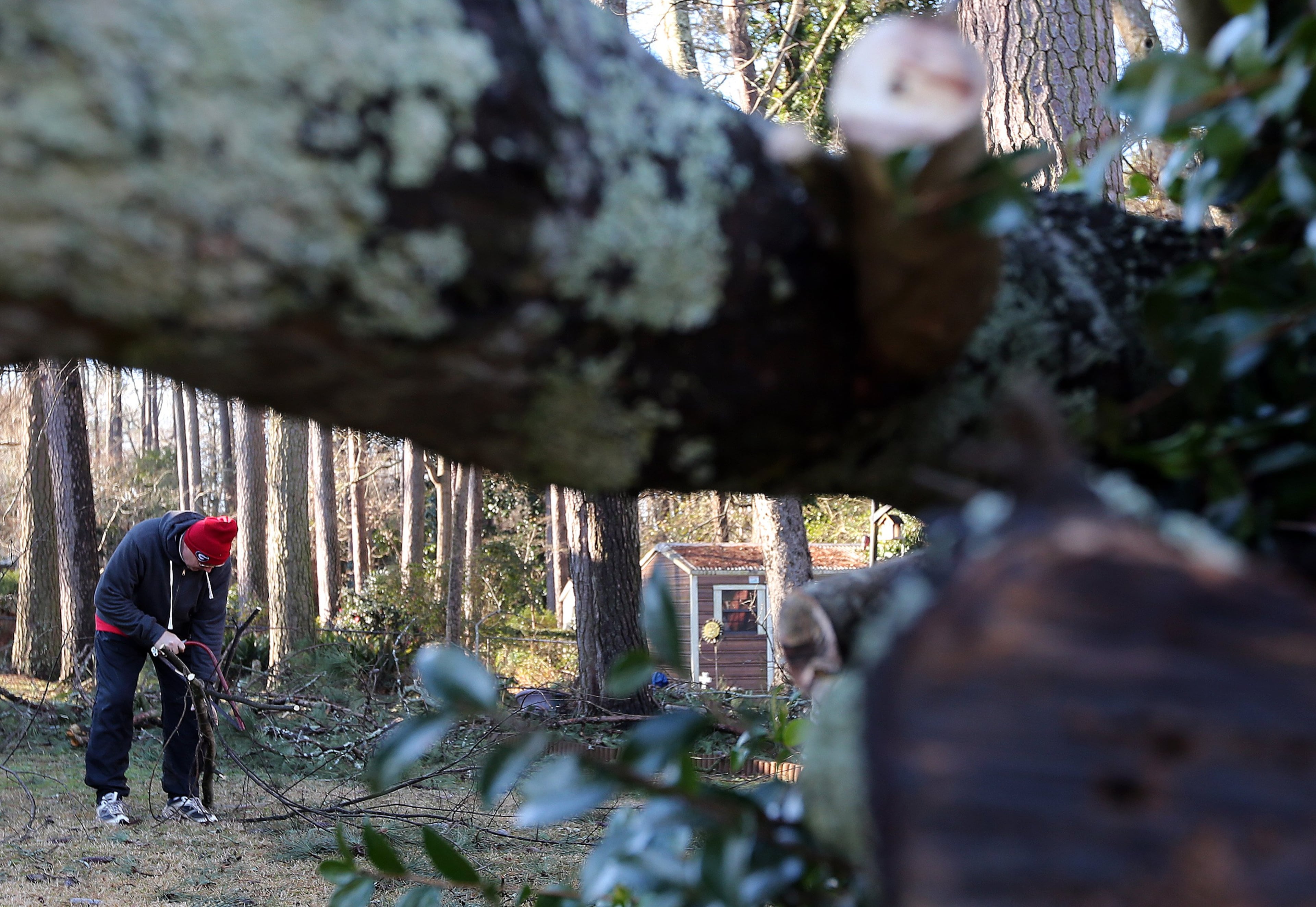 Steve Lariscy hauls pine branches to the curb as he works to clean up his yard in Augusta early Saturday morning February 15, 2014 while waiting for power to be restored to his house. BEN GRAY / BGRAY@AJC.COM