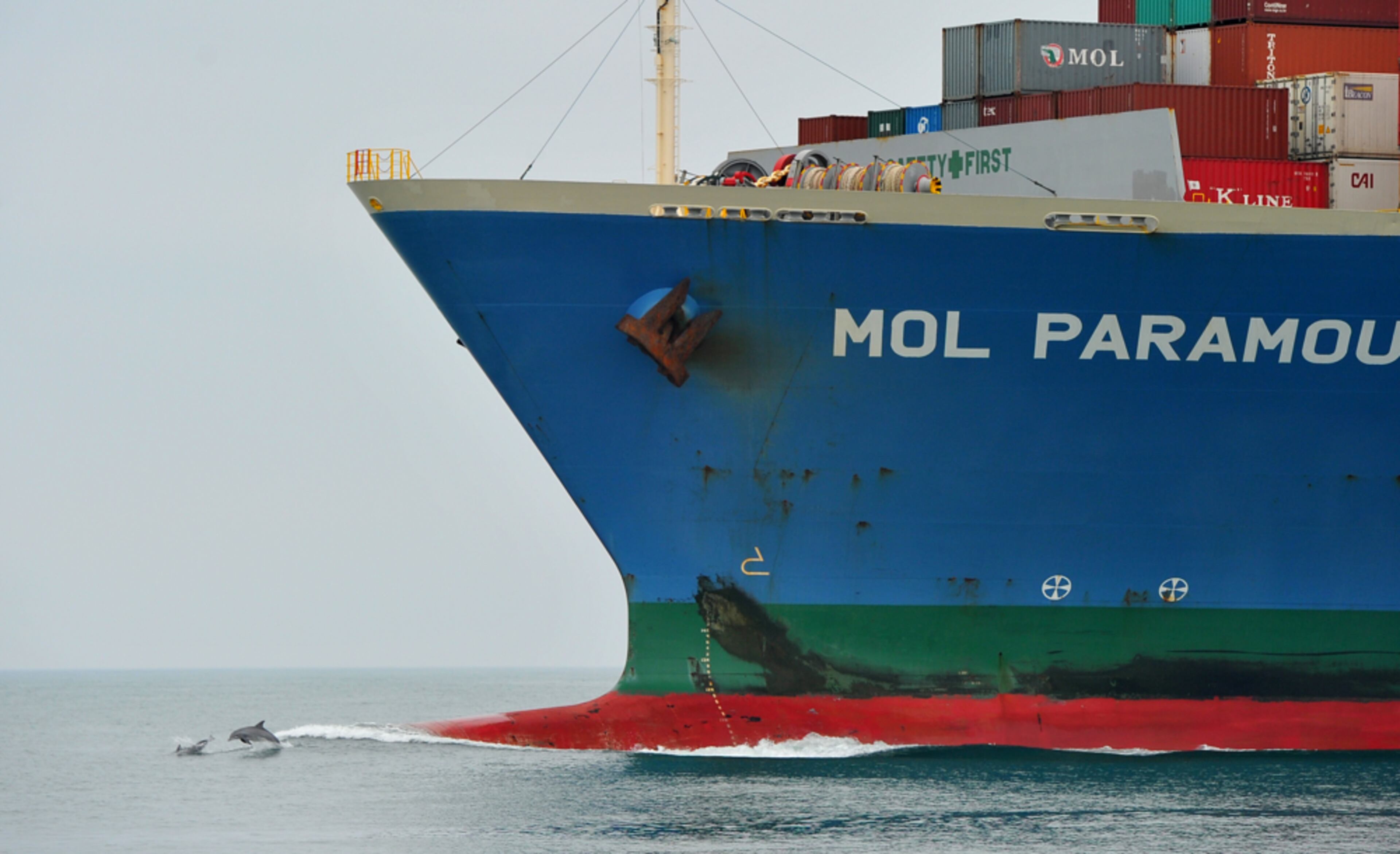 021512 Savannah, GA: Dolphins jump in front of the Paramount cargo ship as the ship approaches the mouth of the Savannah River Wednesday February 15, 2012. I was riding in a boat with the Savannah Port Authority for a story about the need to deepen the port. Soon after this photo was taken our small boat pulled up beside the Paramount and I climbed aboard the moving ship. A very cool experience. Brant Sanderlin bsanderlin@ajc.com