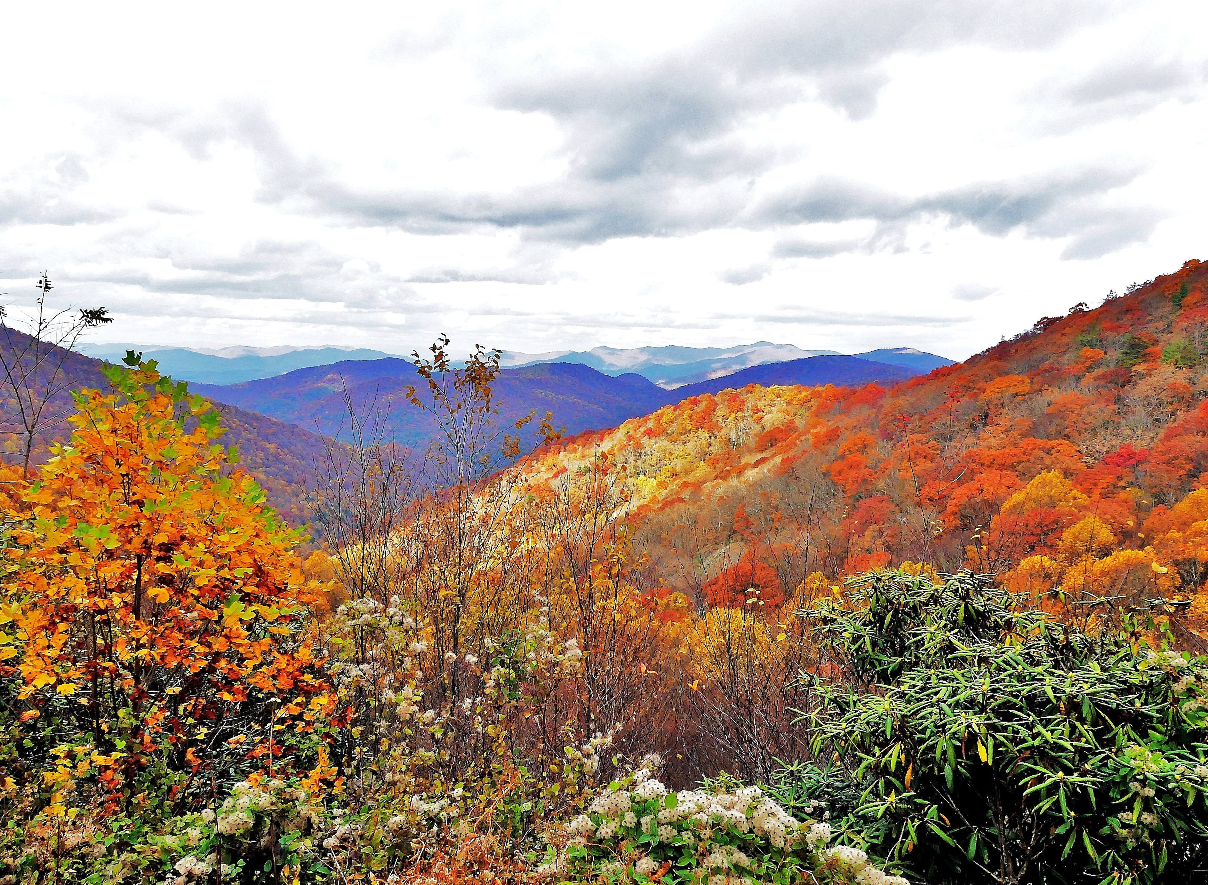 The Chattahoochee National Forest in the Blue Ridge Mountains in Union County. (Courtesy of Charles Seabrook)