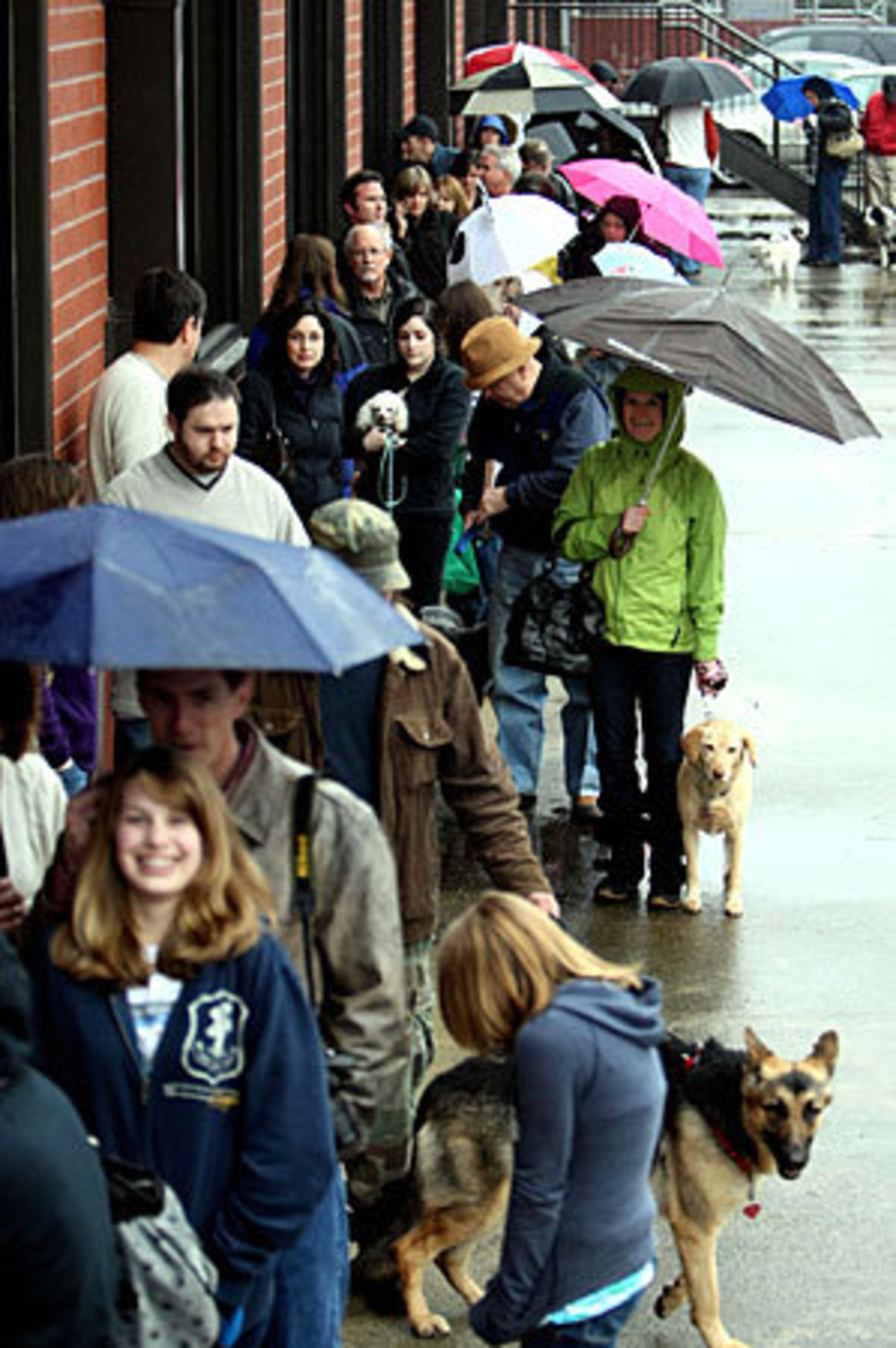 A line or people waited in the drizzling rain to meet Victoria Stilwell and take part in the casting call.