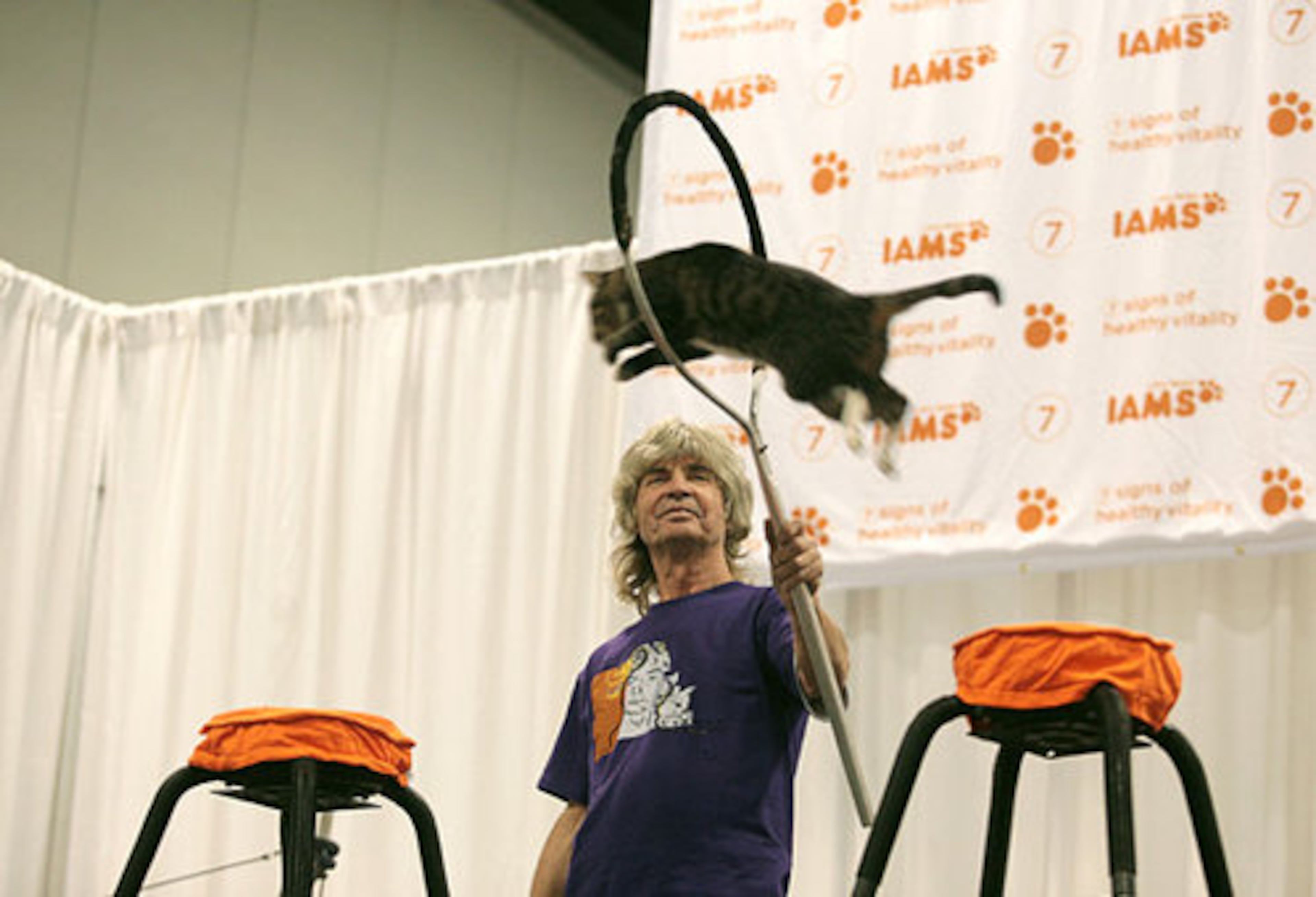 Dominique Lefort of Key West, Fla., gets one of his cats to jump through a hoop as part of the IAMS Trained Cats performance during the CFA International Cat Show.