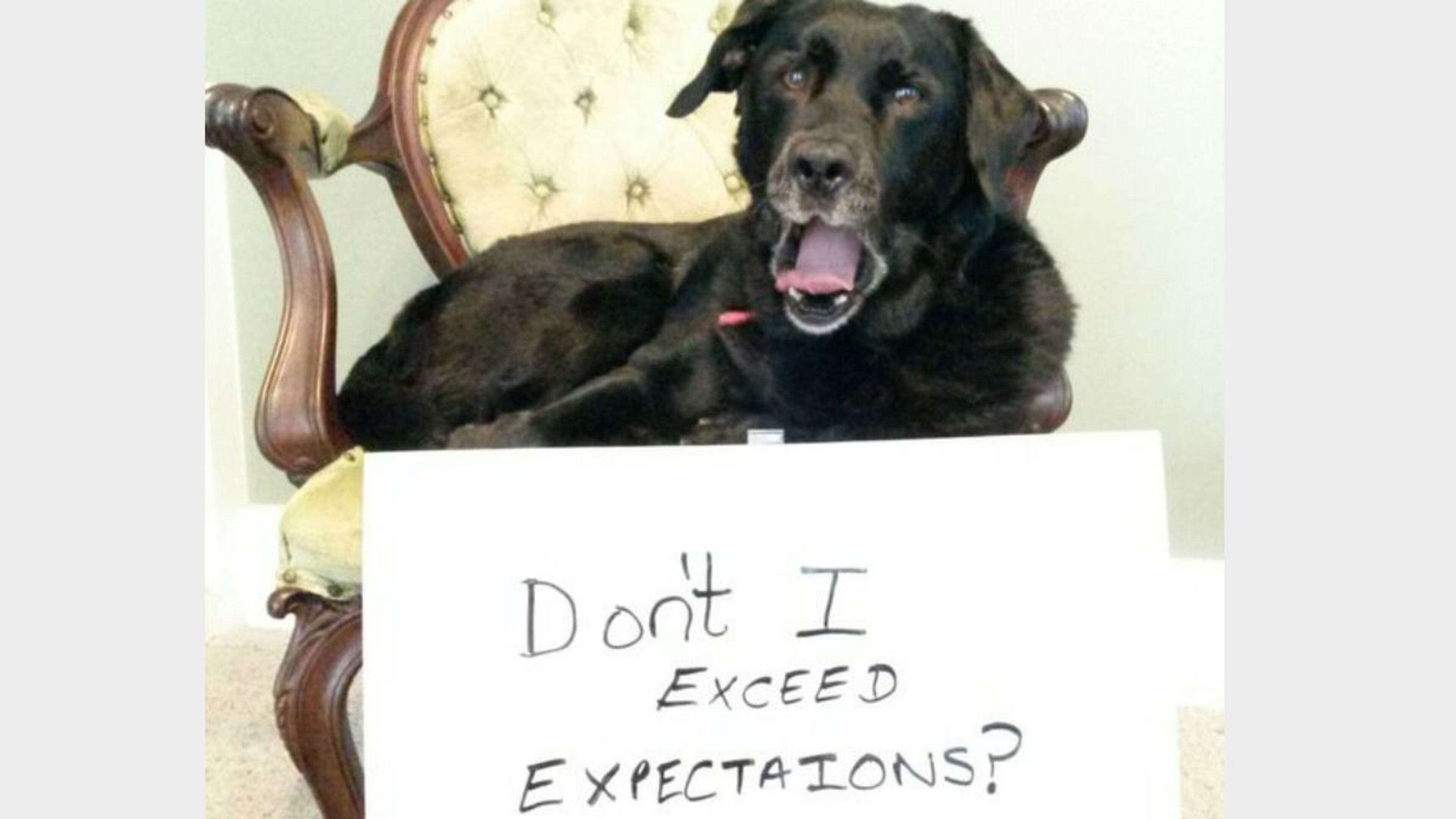 Are job reviews on their way out?