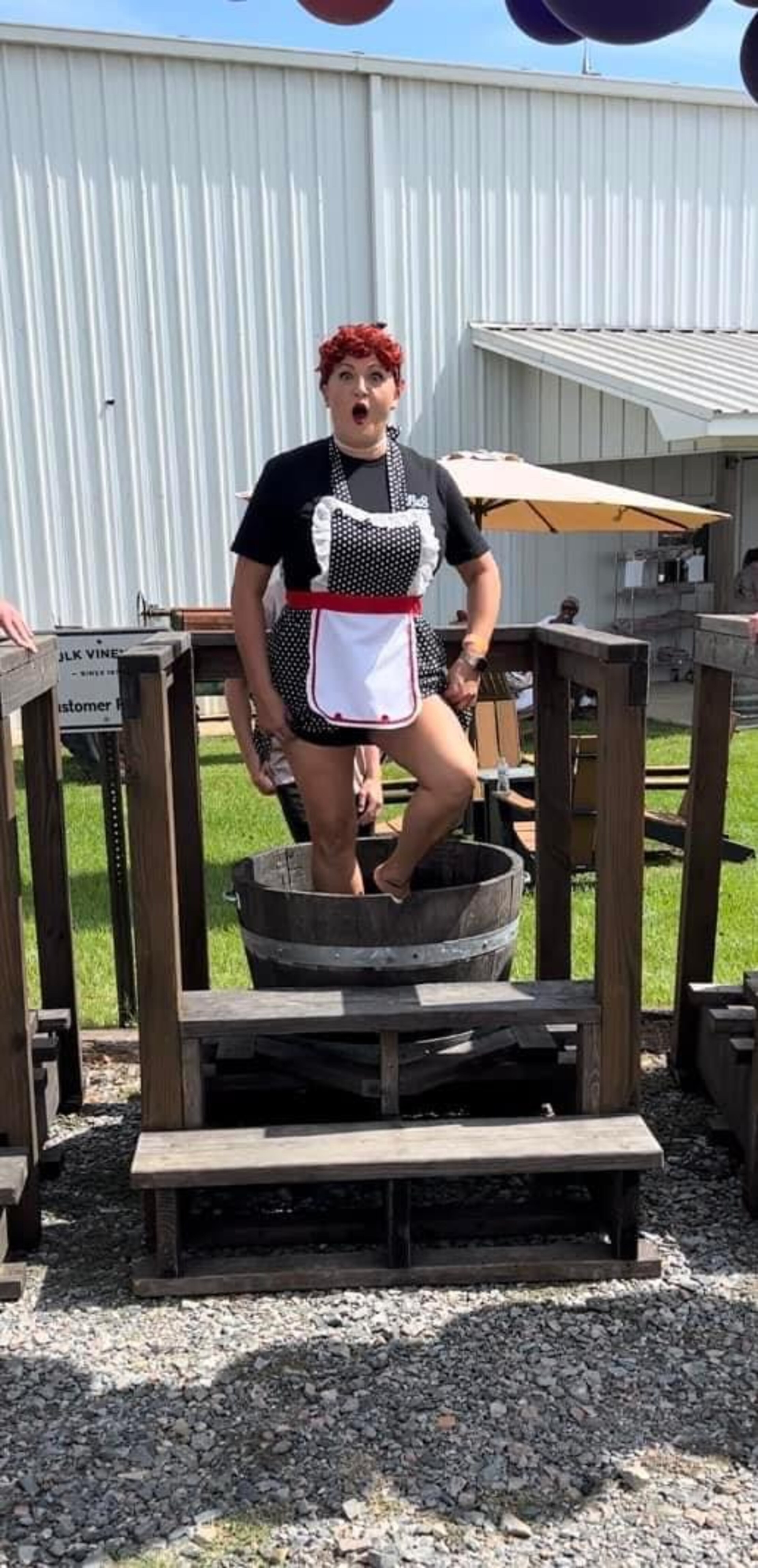 Wine lovers will be heading on down to Paulk Vineyards in Wray for the Georgia Muscadine Festival this summer.
Courtesy of Paulk Vineyards