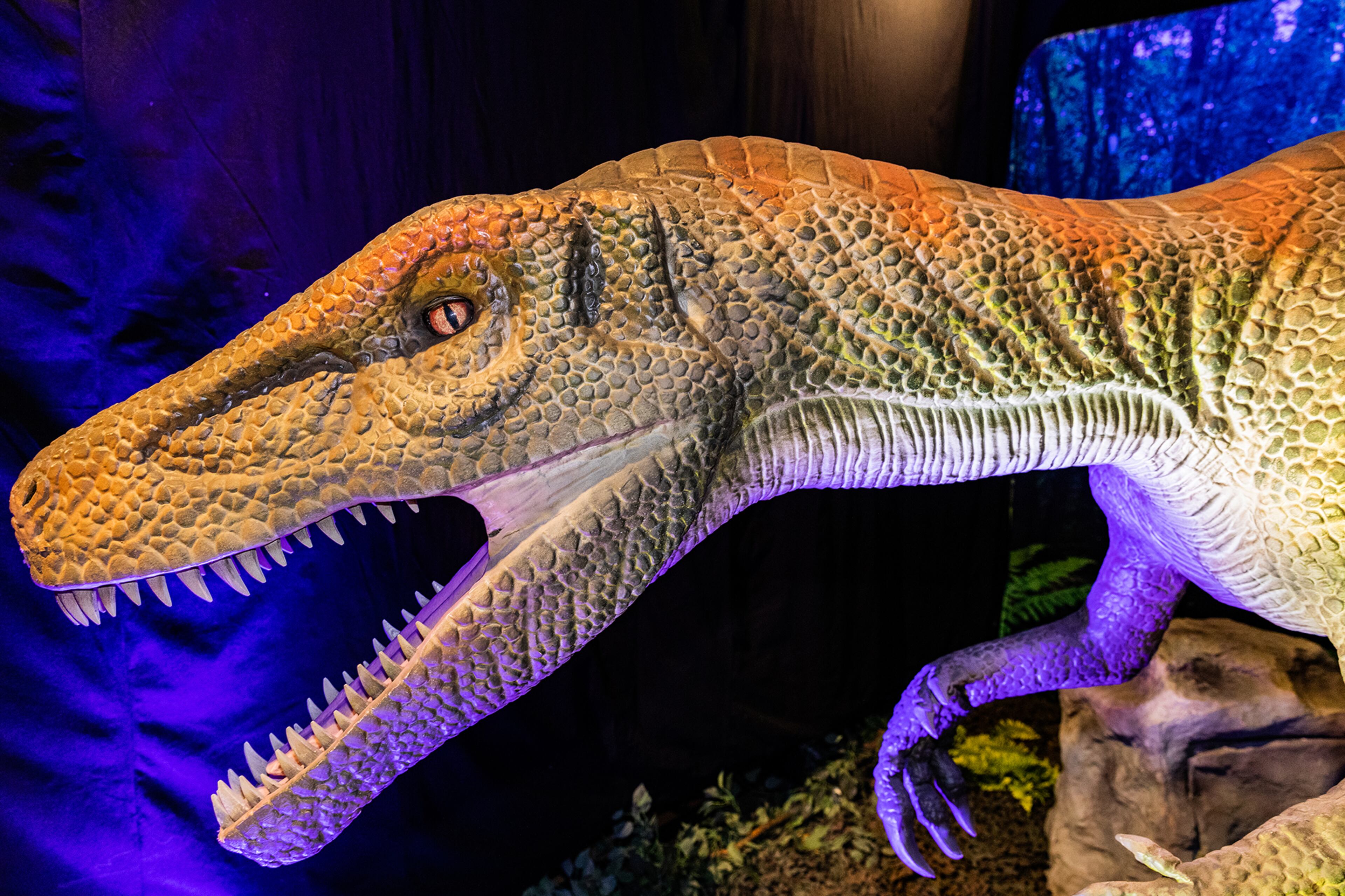 Dino Safari Atlanta at North Point Mall