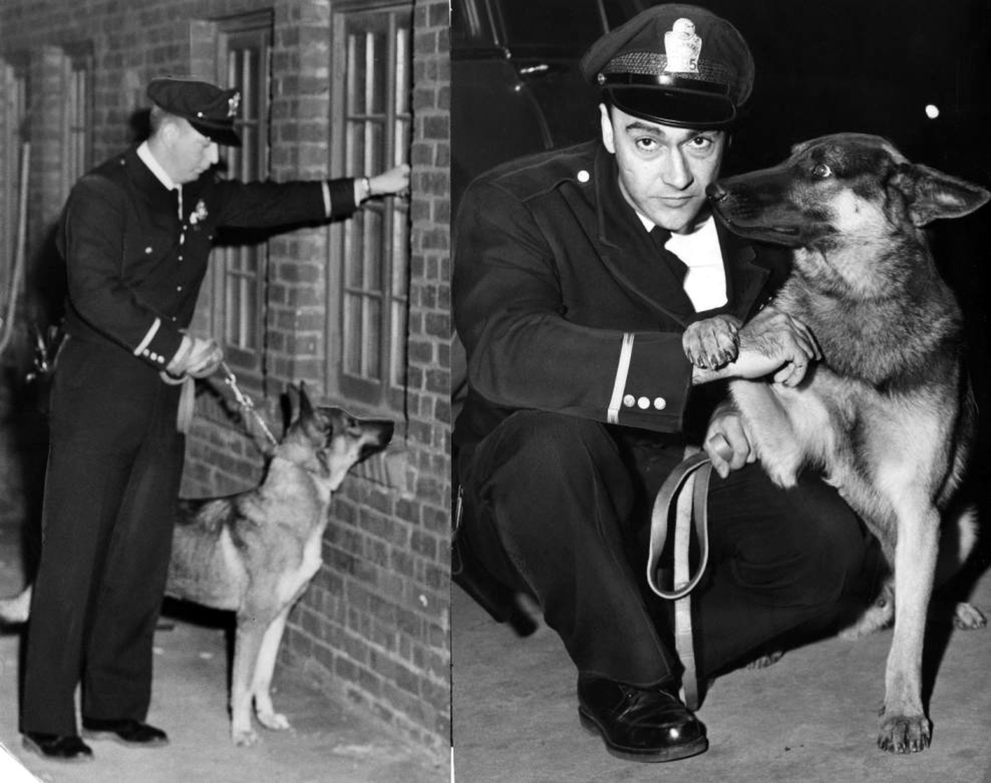 The original caption info reads: "Canine patrol makes debut in the dark in downtown Atlanta. Patrolman Gilman, left, patrols alley; Patrolman Harrison pets his partner." The photos were taken on November 25, 1959.
