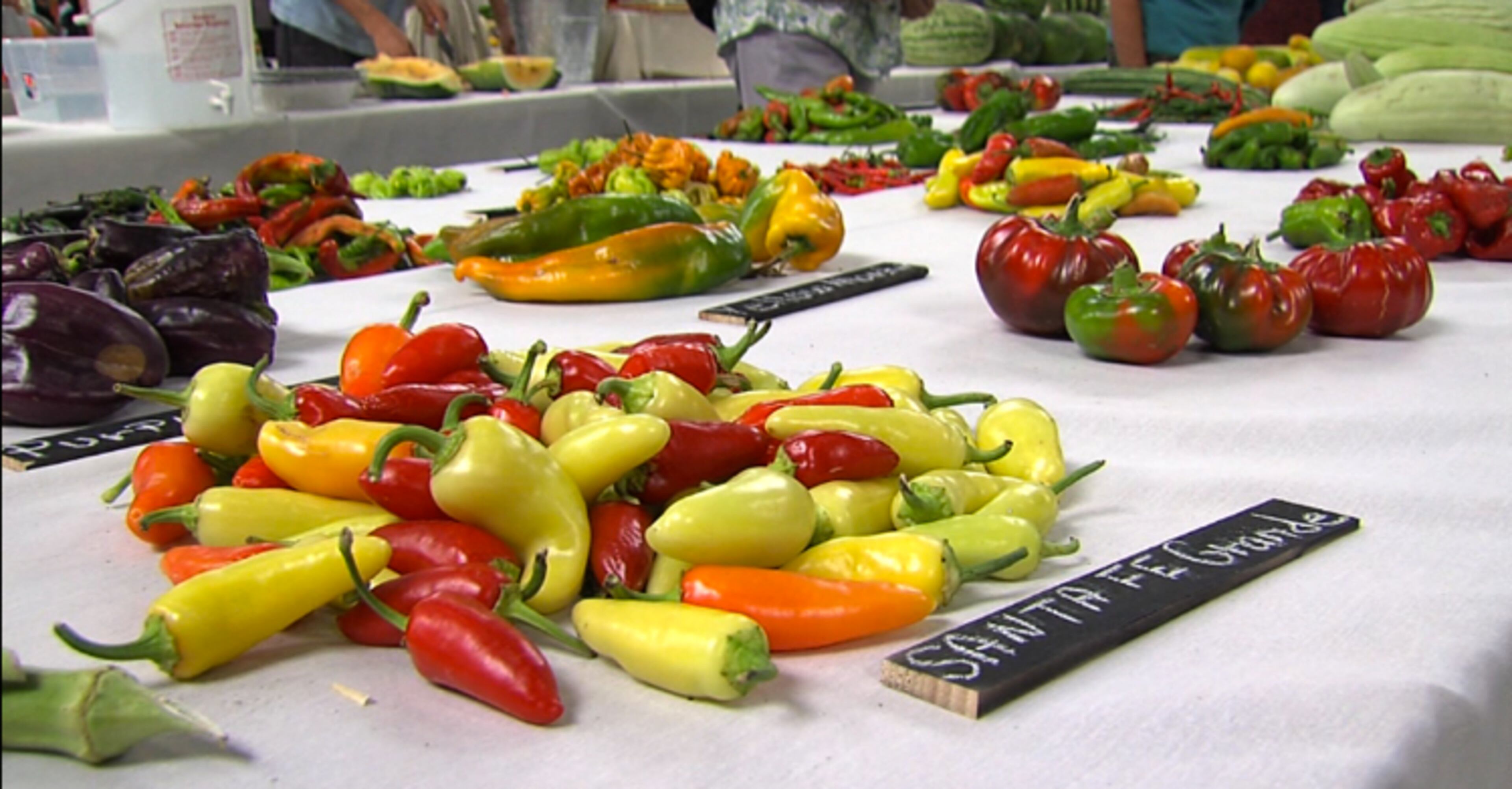 There are thousands of varieties of produce that are on exhibit, and many will also be judged and awarded prizes of cash and/or ribbons.