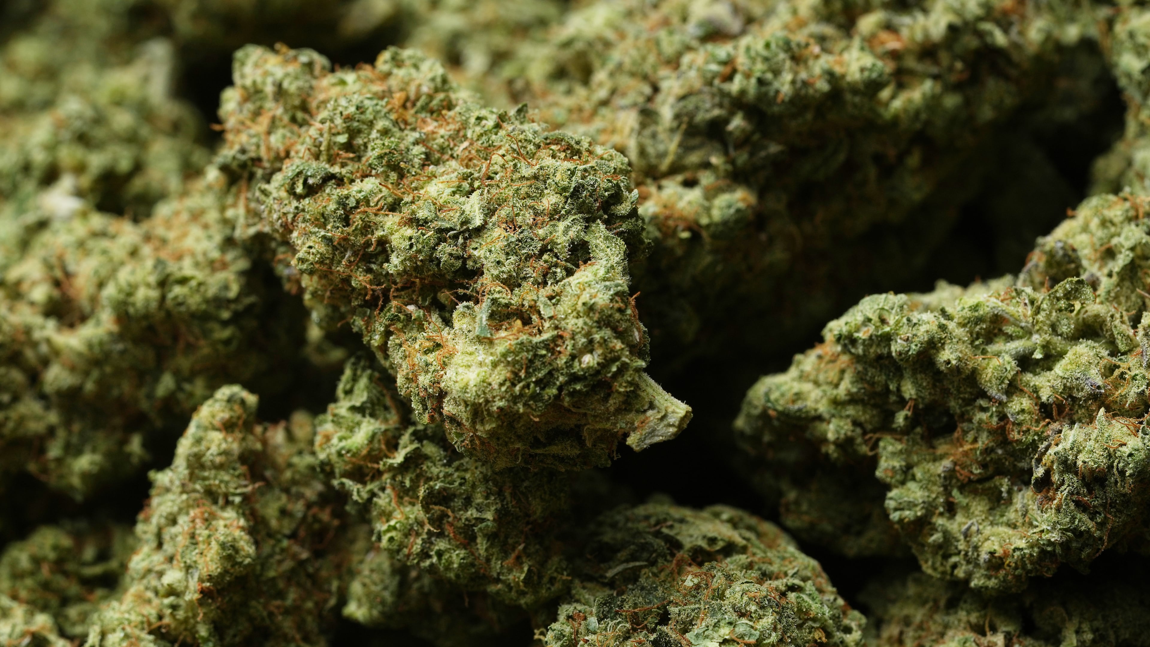 Shown is marijuana at NJ Weedman's Joint dispensary in Trenton, N.J., Thursday, April 23, 2026. (AP Photo/Matt Rourke)