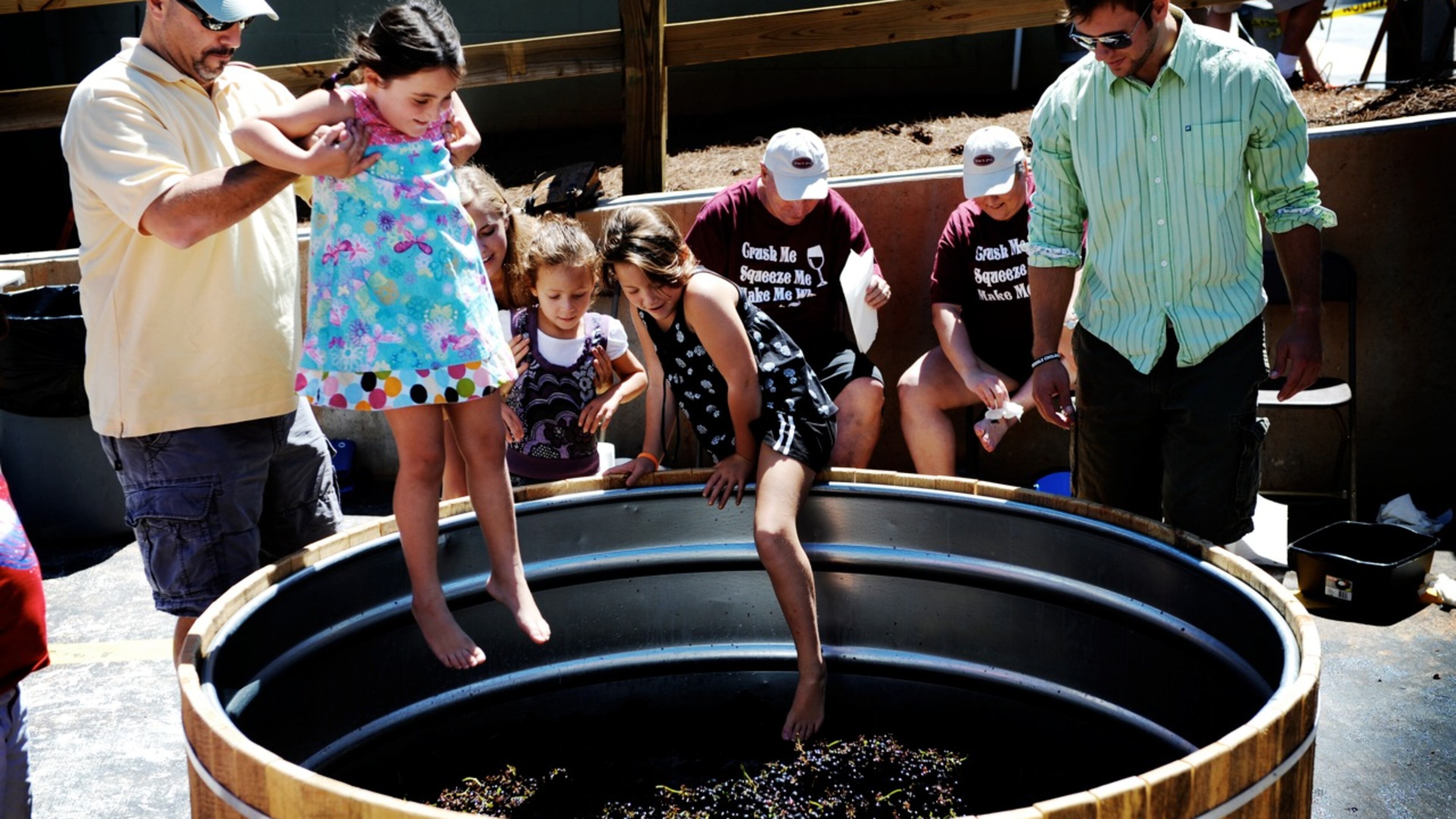 Have fun at the Yonah Mountains Vineyards this weekend.