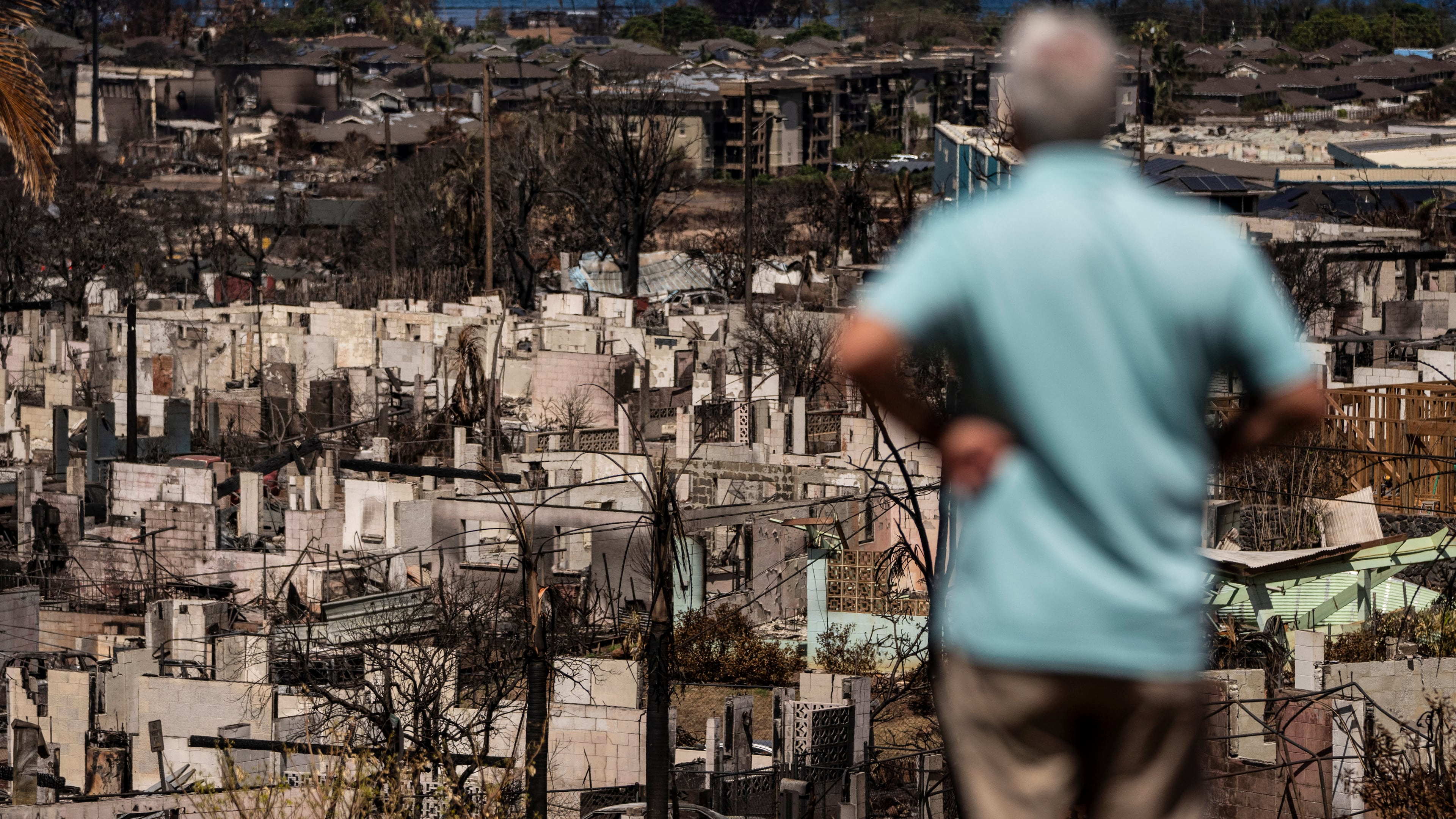 FILE - A man views the aftermath of a wildfire in Lahaina, Hawaii, Aug. 19, 2023. (AP Photo/Jae C. Hong, File)
