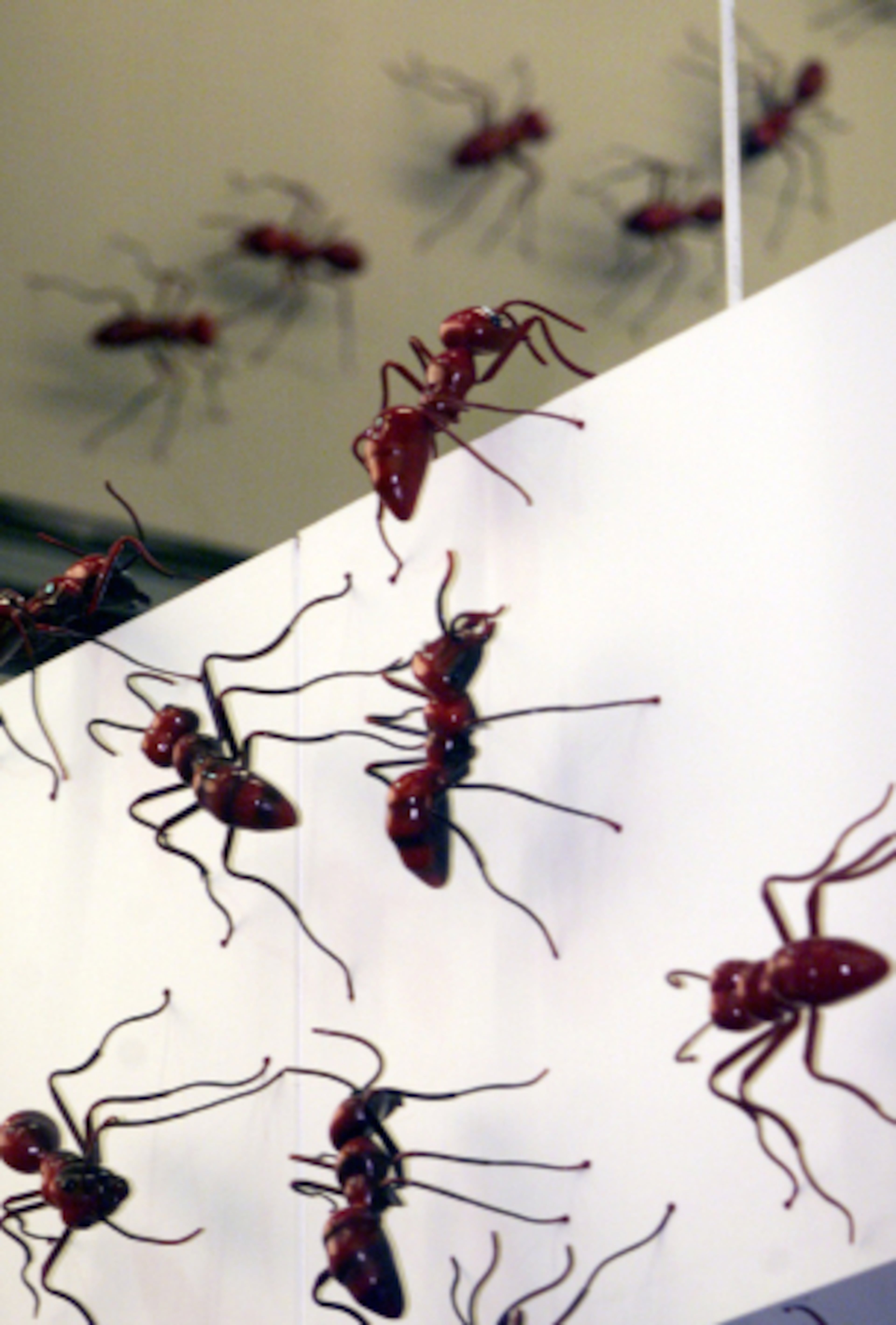 010830-ATLANTA, GA: Preview story on art in public places. This one is Hartsfield airport featuring giant ant on the walls of the baggage claims, a bronze portal on the South parking garage entrance & 20 African sculptures between the T & A concourses. (PHIL SKINNER /staff).