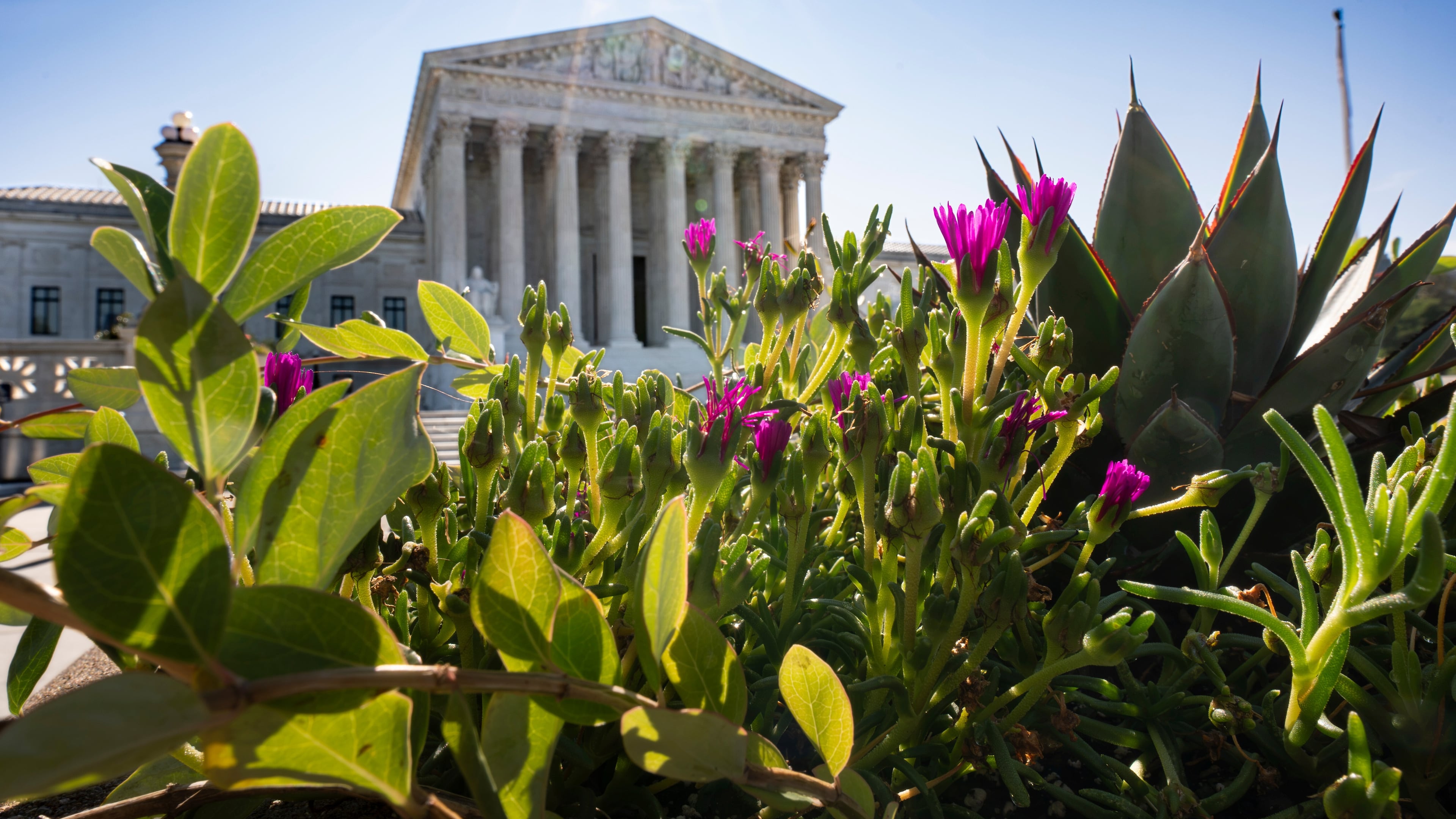 FILE - The Supreme Court is seen on Capitol Hill in Washington, Aug. 25, 2026. (AP Photo/J. Scott Applewhite, file)