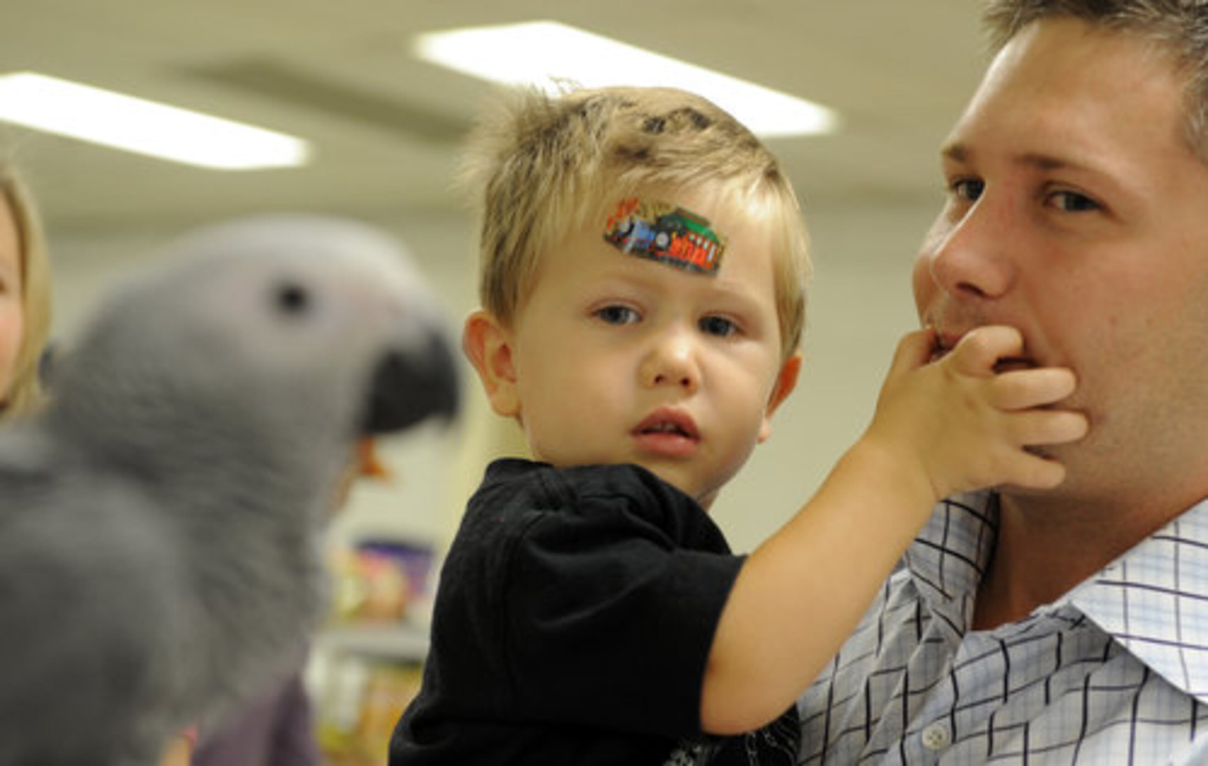 Wyatt Davis, 23 months old, checks out a Congo gray parrot with his father, Nicholas Davis of Sugar Hill.