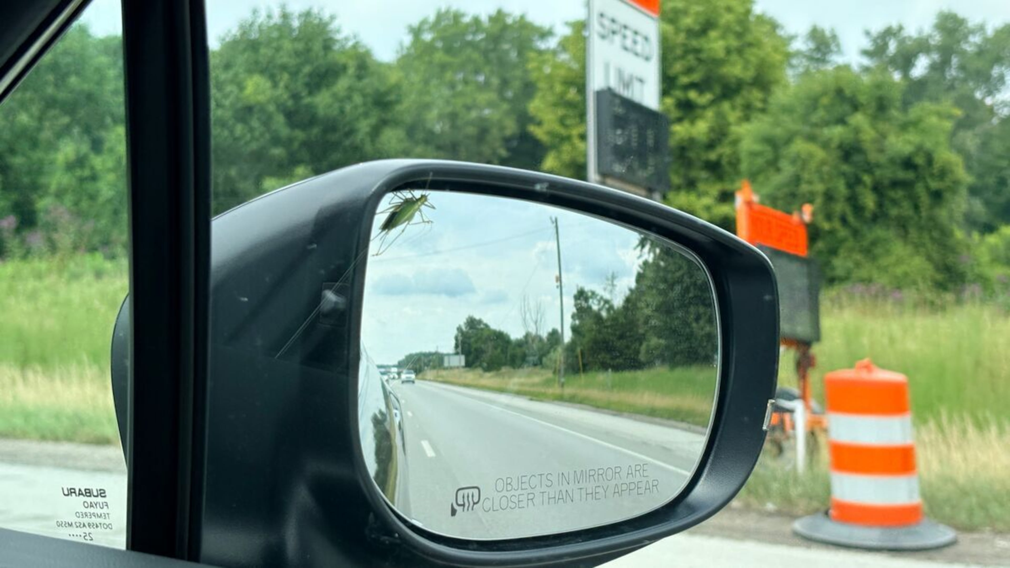 A grasshopper hitched a ride on the Ascent's passenger side mirror for 700 miles of the final leg of the road trip. (Robert Duffer/Cox Automotive)