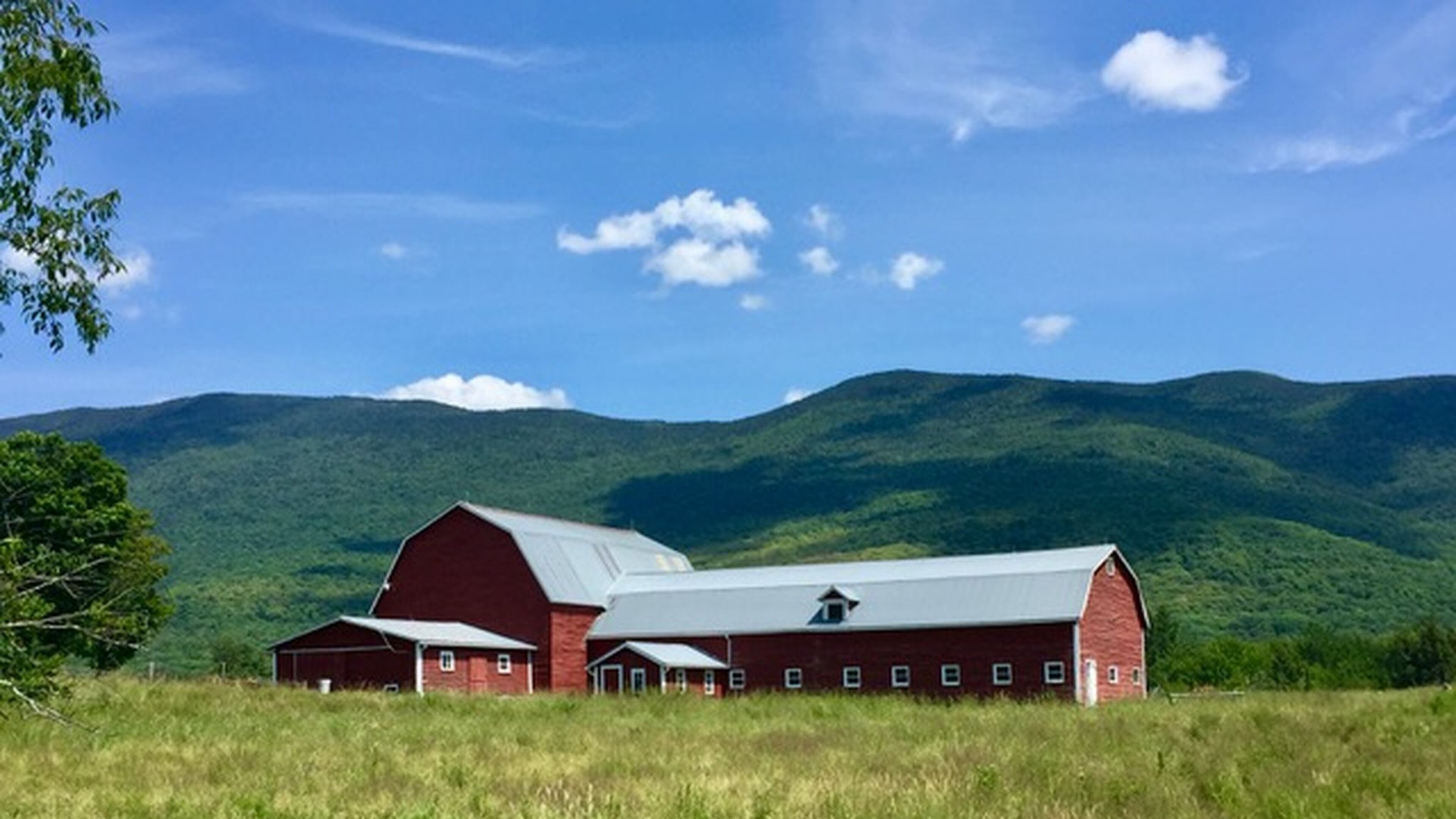 Diane Light sent this photo of a bicycling vacation in Vermont. The Green Mountain State’s extensive network of lightly-trafficked small highways and town roads provide an ample supply of bicycle routes and tours. For the more adventurous, Vermont’s gravel roads and old logging trails can’t be beat, and travel experts say Vermont has some of the best mountain biking in the east. Tourists can choose from single track or downhill, trek through forests and meadows, or explore an abandoned granite quarry.