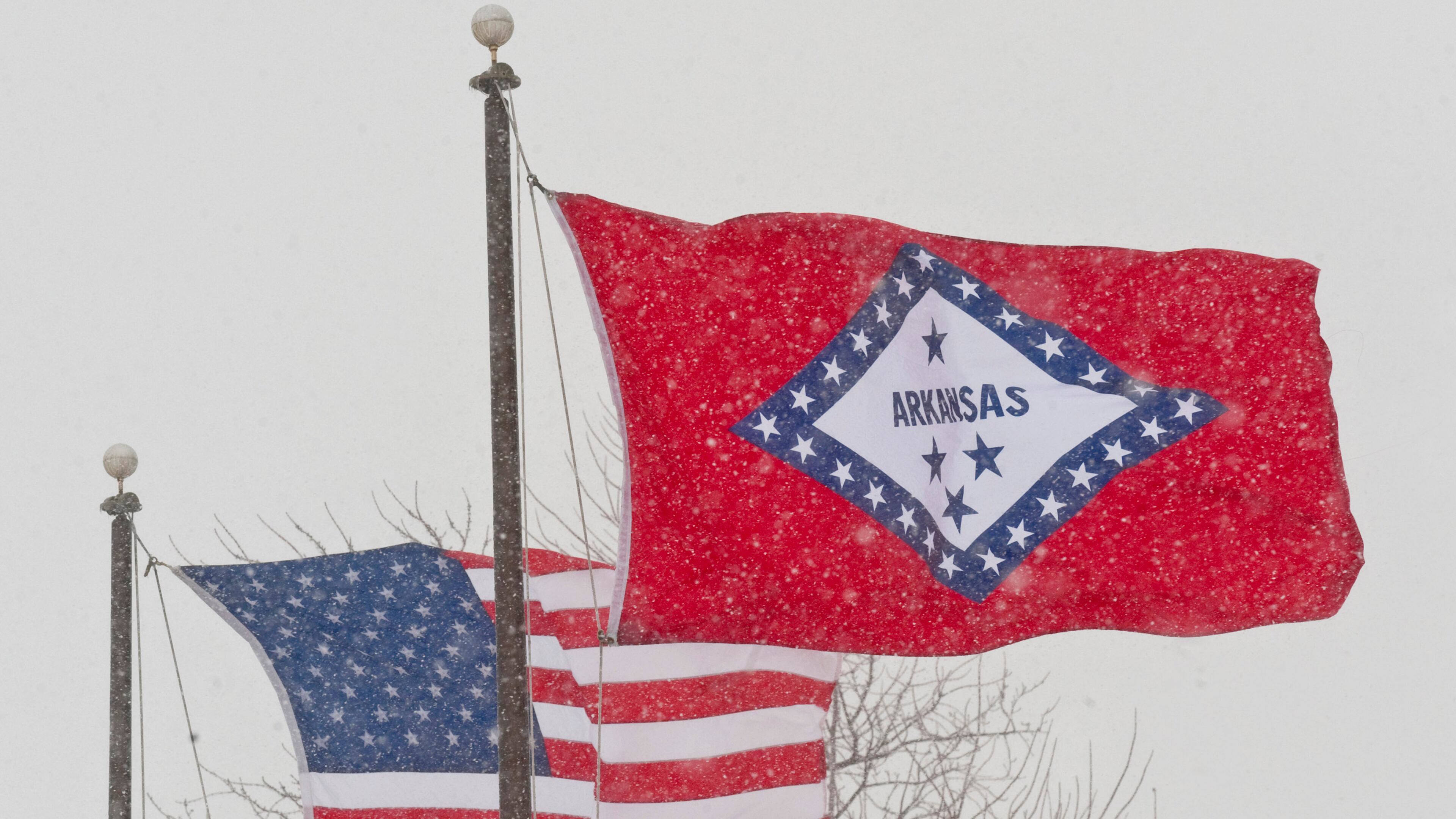 FILE - In this Feb. 1, 2011 file photo, an American and Arkansas flag blow in the wind as snow falls in Fayetteville, Ark. (AP Photo/Beth Hall, File)