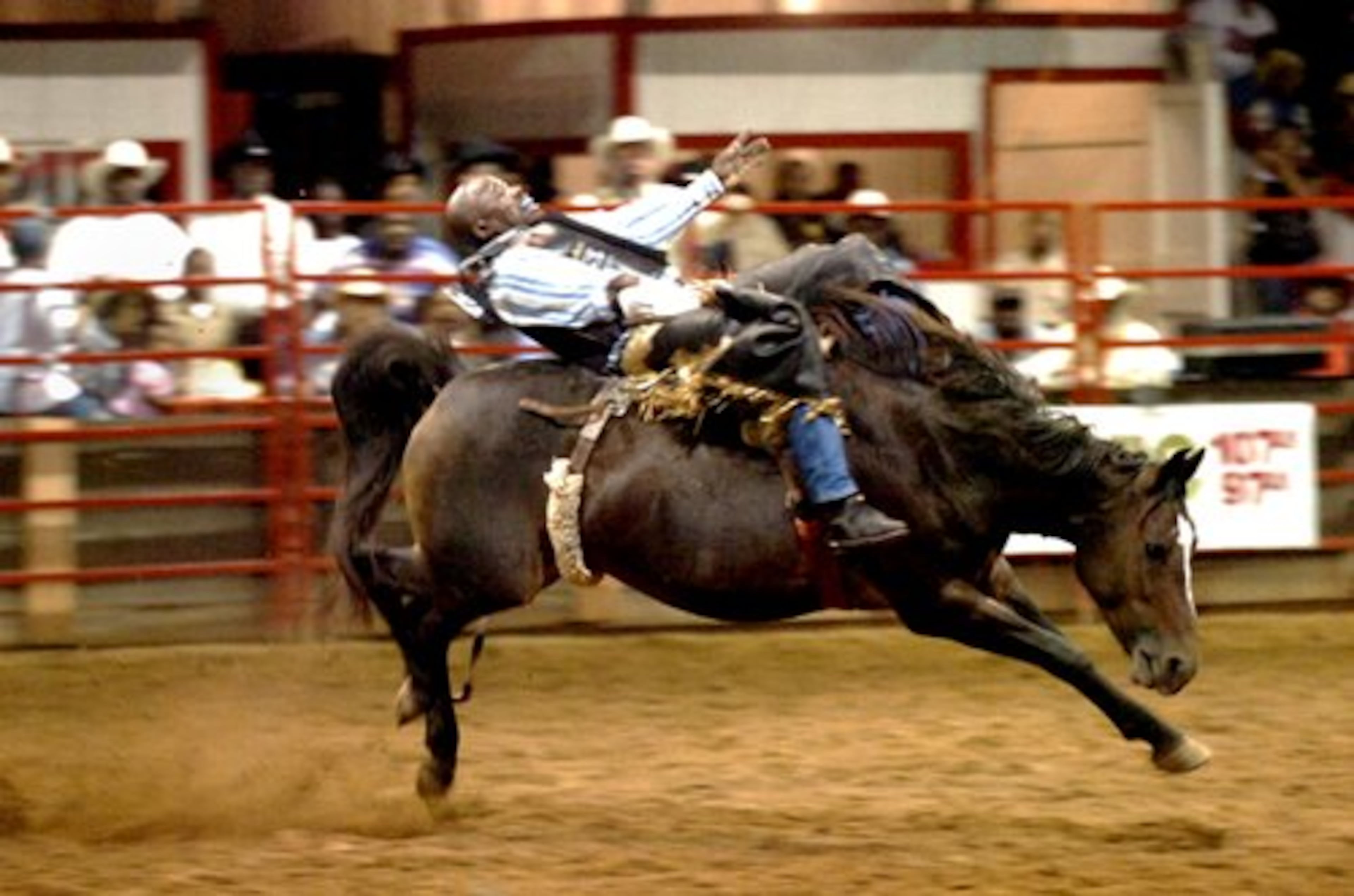Quentin Steele of Atlanta rides during the bareback riding event during action in the Bill Pickett Invitational Rodeo Saturday evening. Riders try to stay on for 8 seconds and are scored on their skill as well as the bucking action of the horse.