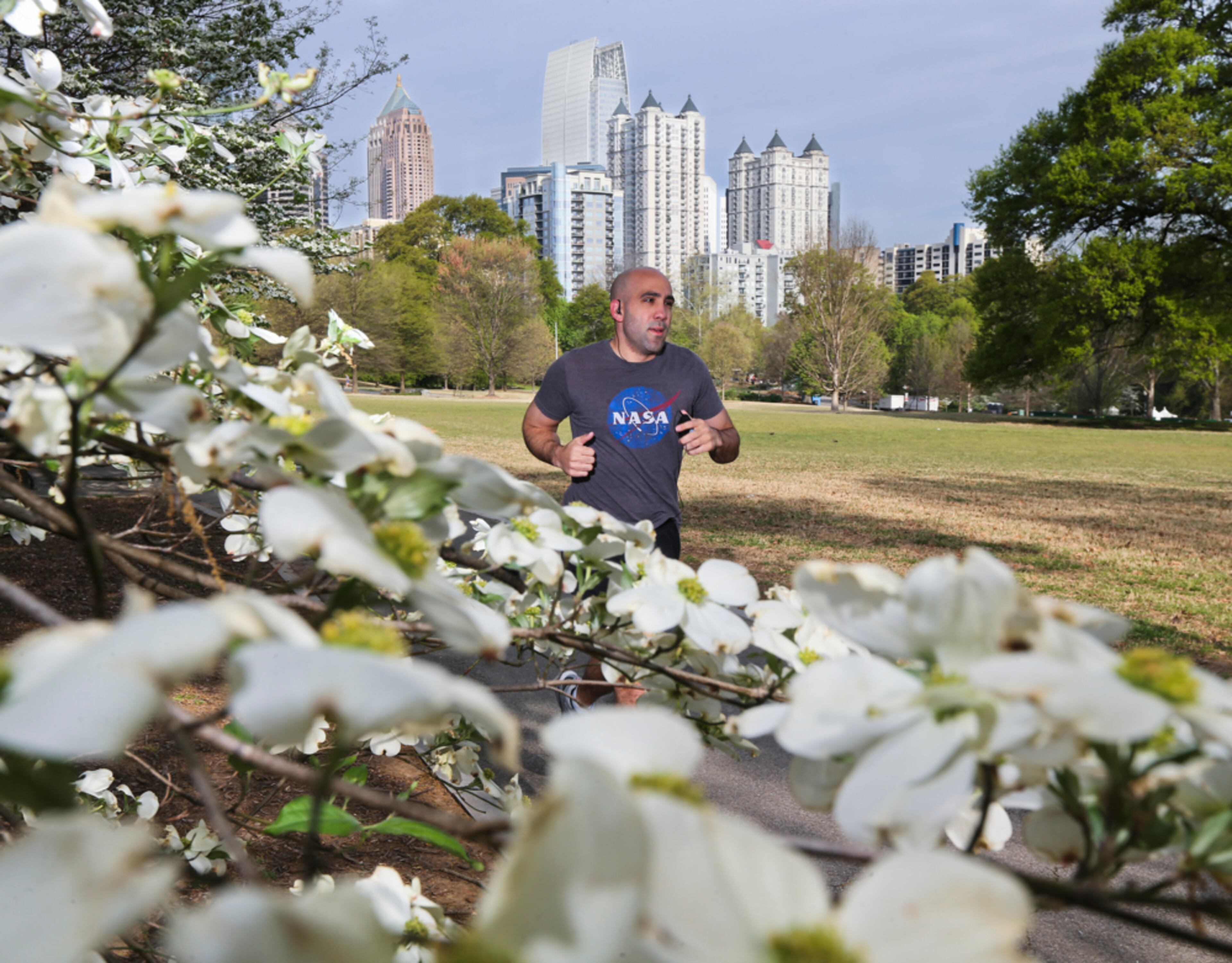 DOGWOODS IN BLOOM--April 11, 2014 Atlanta: Alan Elsheshai gets in his 2-mile run Friday, April 11, 2014 passing the dogwoods in Piedmont Park. Metro Atlanta's spring outdoor festival season will be in high gear this weekend, with the Atlanta Dogwood Festival running through Sunday at Piedmont Park. The park will also host the 22nd annual Disc Dog Southern Nationals Saturday and Sunday. Dry weather is forecast throughout the weekend, with the next chance of rain predicted for Monday and Tuesday. Channel 2 meteorologist Karen Minton said highs will be in the upper 70s Saturday and Sunday, with overnight lows in the upper 50s. Atlanta's pollen count Friday climbed to 4,054 particles per cubic meter of air, and that count is likely to stay high at least until the next round of rain on Monday and Tuesday. JOHN SPINK/JSPINK@AJC.COM