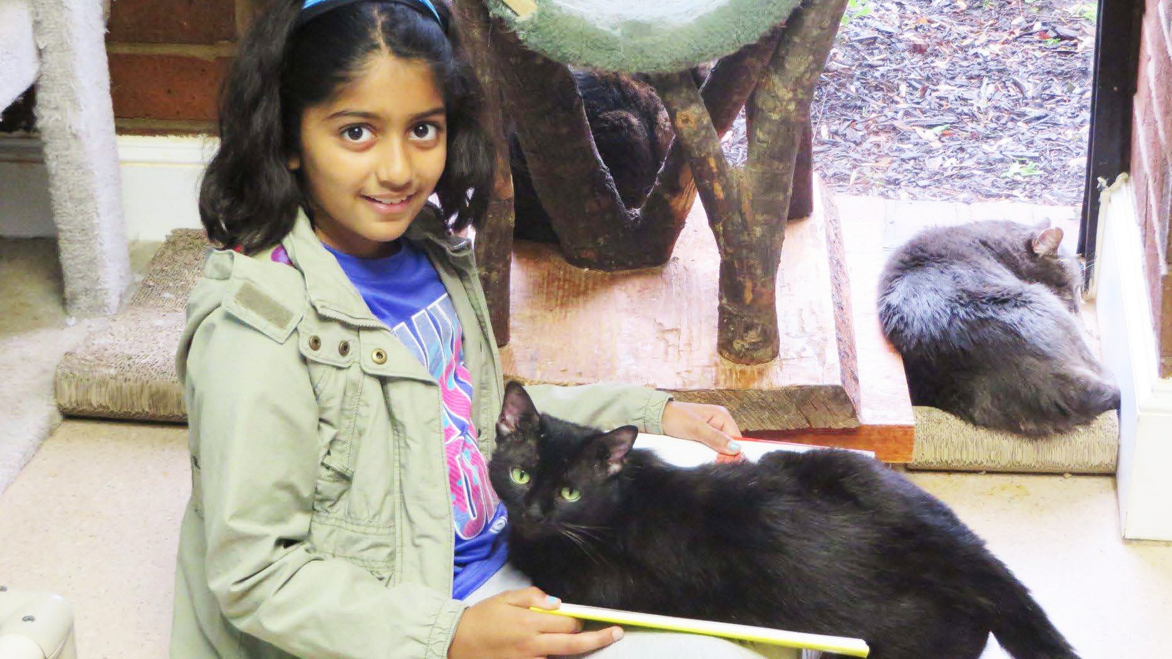 Furkids cat on girl’s lap