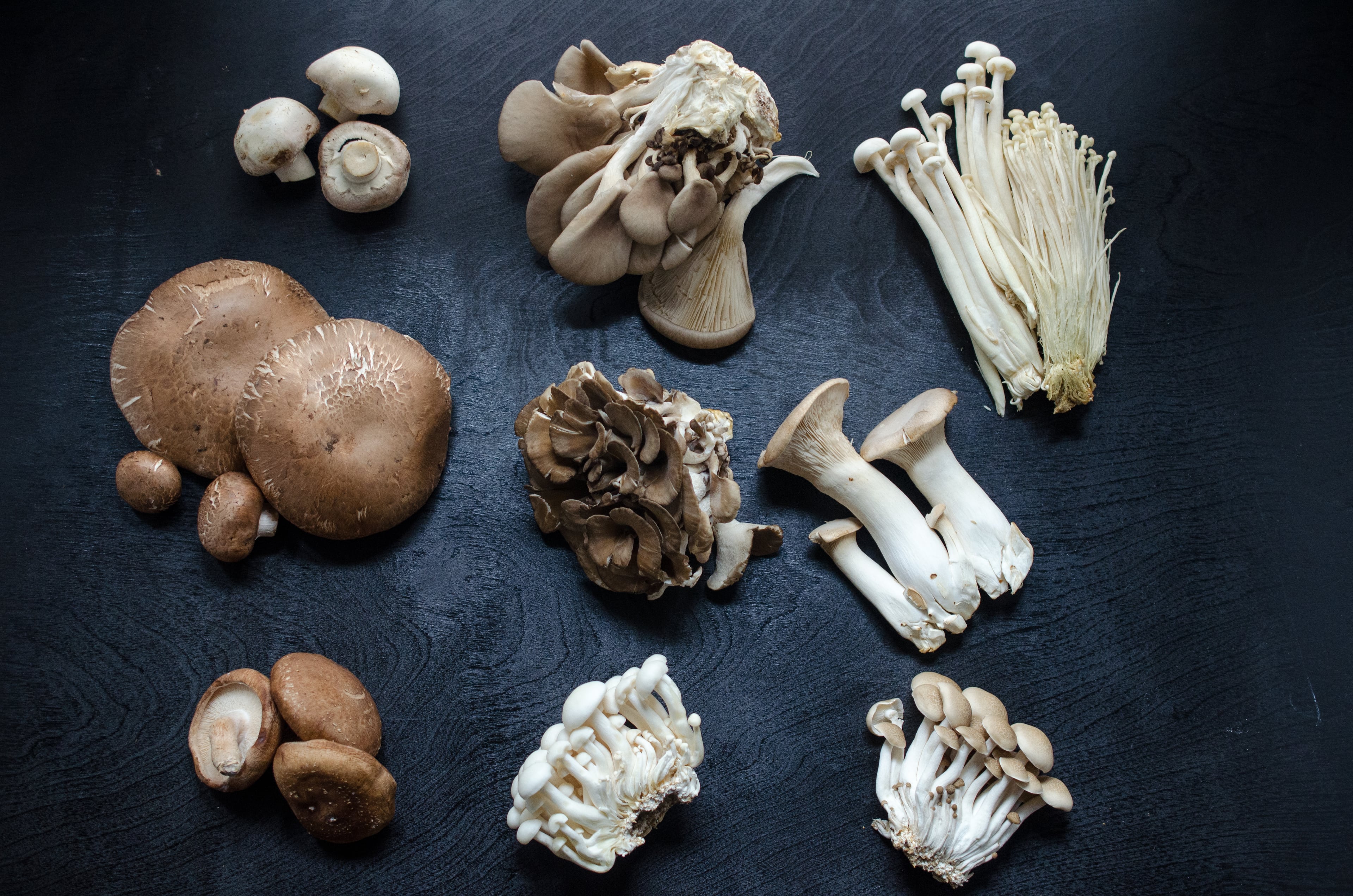 More than 2,000 mushroom species are edible. Commonly consumed mushrooms include: (top row, left to right) white button, oyster and enoki;
(center row, left to right) portobello and cremini, maitake, and king trumpet; and
(bottom row, left to right) shiitake, white beech and brown beech.
(Virginia Willis for The Atlanta Journal-Constitution)