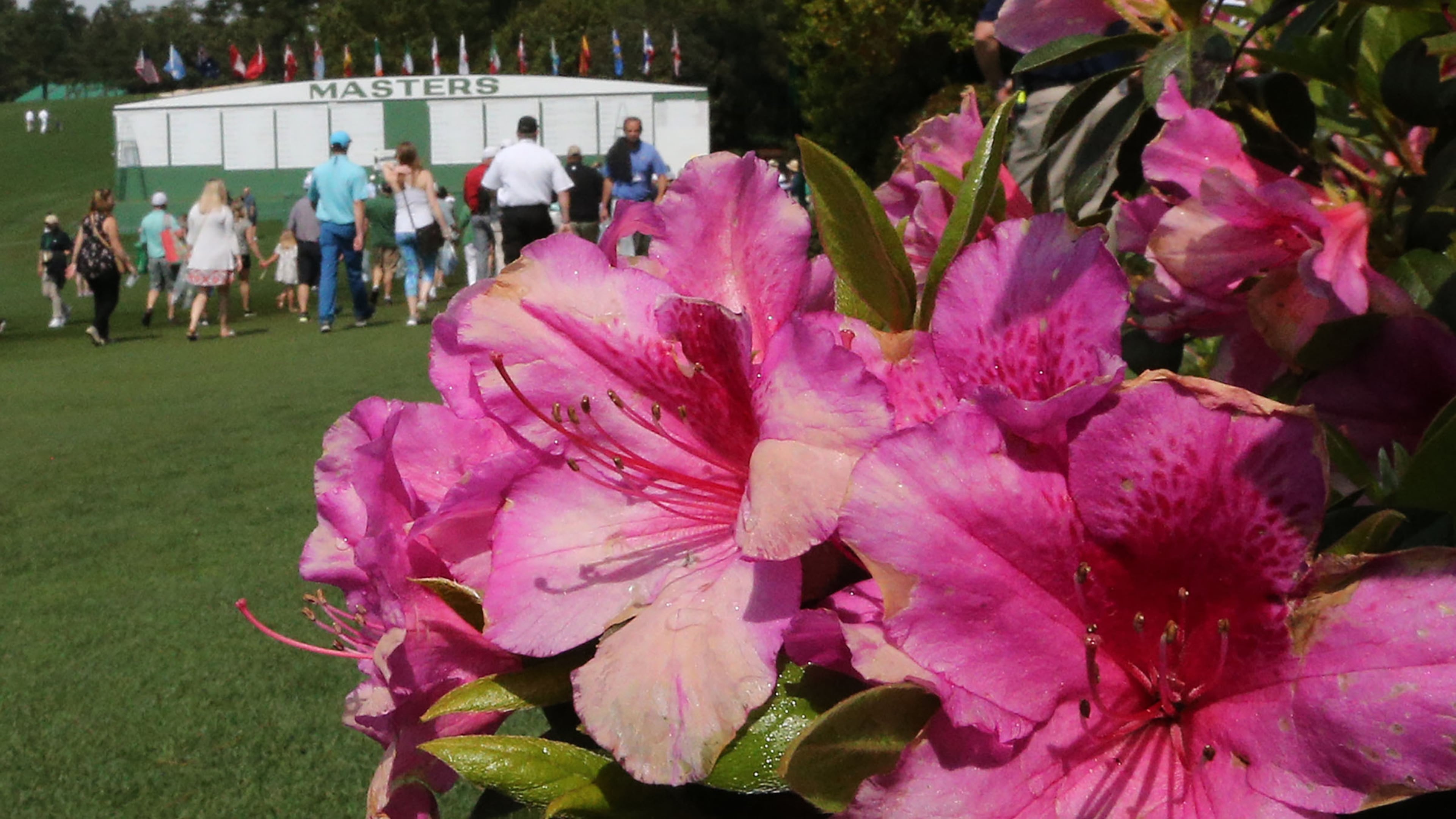 The azaleas are in bloom for the Masters by the first fairway as patrons pass by during the Drive, Chip, and Putt Championship at Augusta National Golf Club on Sunday, April 7, 2019, in Augusta.