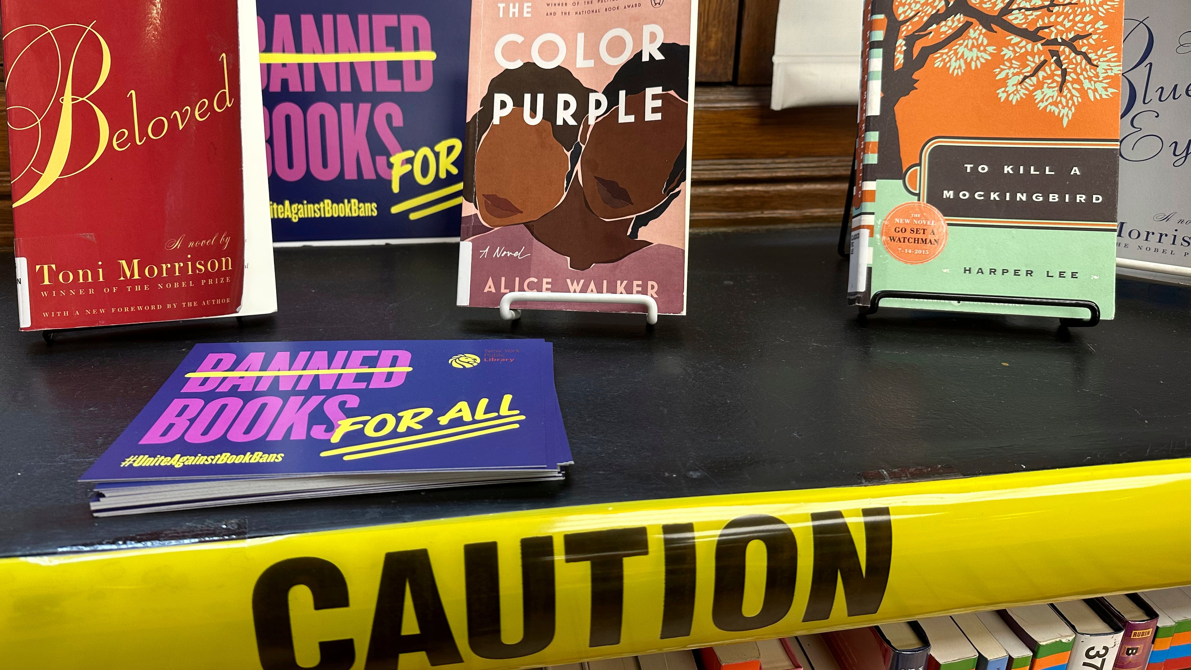 FILE - A Banned Books Week display is at the Mott Haven branch of the New York Public Library in the Bronx borough of New York City on Saturday, October 7, 2023. (AP Photo/Ted Shaffrey, file)