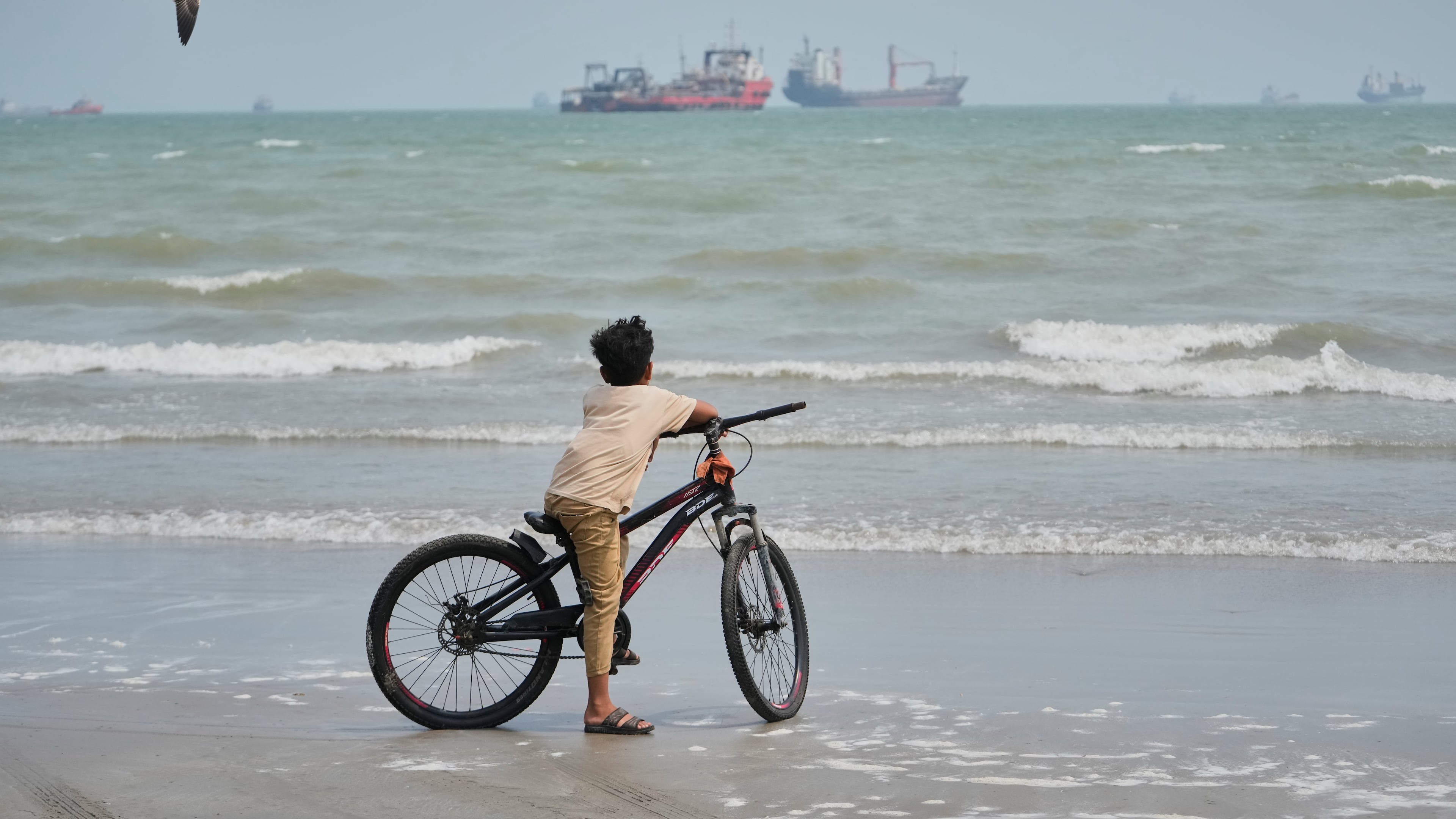 A gull flies overhead as a boy stands with his bicycle on a beach overlooking commercial vessels anchored in the Strait of Hormuz off Bandar Abbas, Iran, Monday, Sept. 7, 2026. (AP Photo/Vahid Salemi, File)