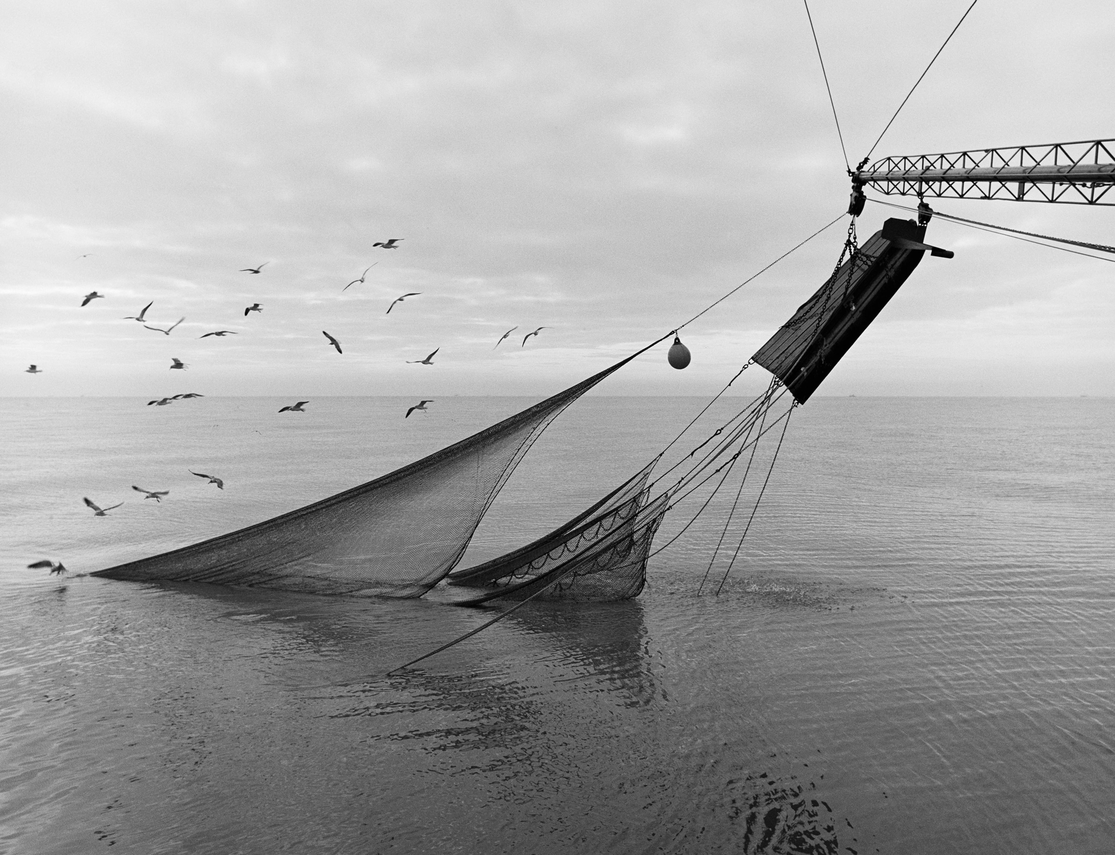 "Nets & Doors," a 1986 photograph by Jack Leigh. Photos of Georgia's coast by Leigh and Parker Stewart are on display at Laney Contemporary, a Savannah gallery, until Aug. 1, 2026. (Courtesy of Jack Leigh/Laney Contemporary)