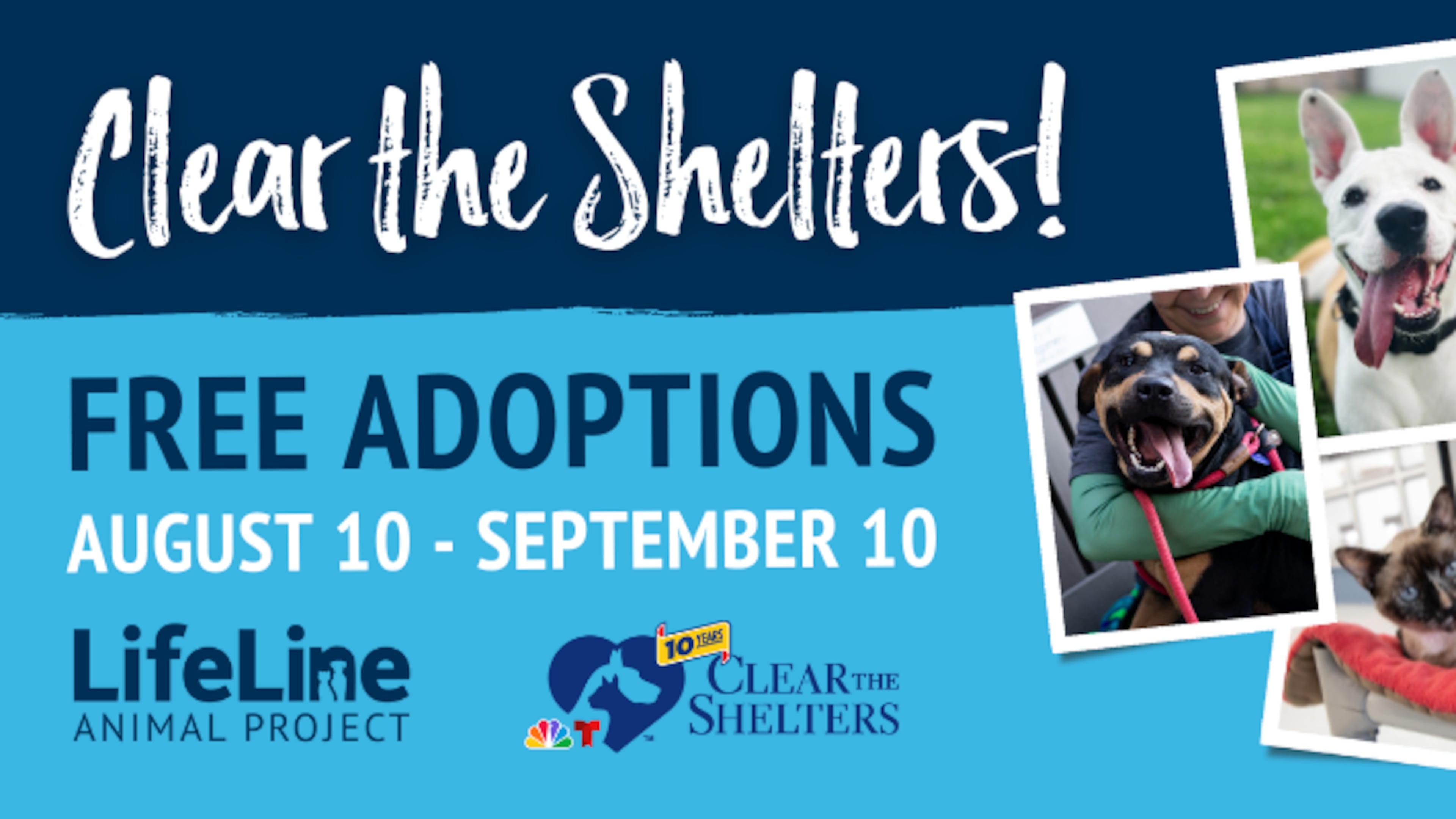 LifeLine Animal Project is offering free pet adoptions at its Fulton and DeKalb shelters through Sept. 10.