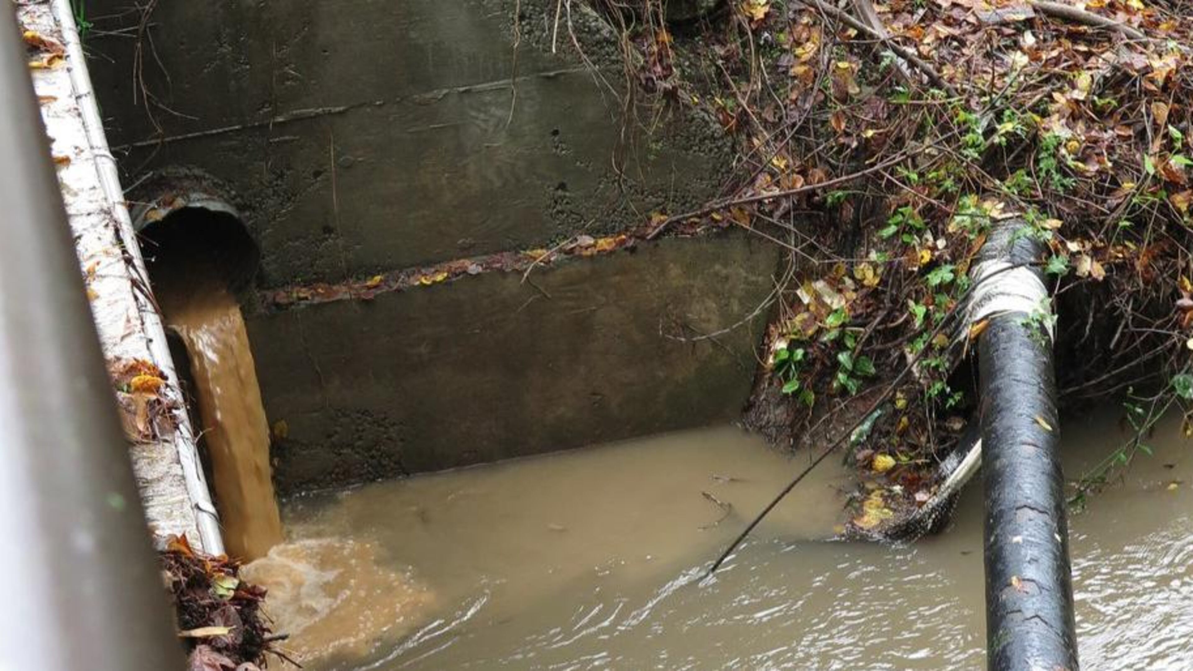 Chattahoochee Riverkeeper says this photo shows metal-polluted runoff from A&R Ironworks in Tucker flowing into Burnt Fork Creek. CONTRIBUTED BY CHATTAHOOCHEE RIVERKEEPER
