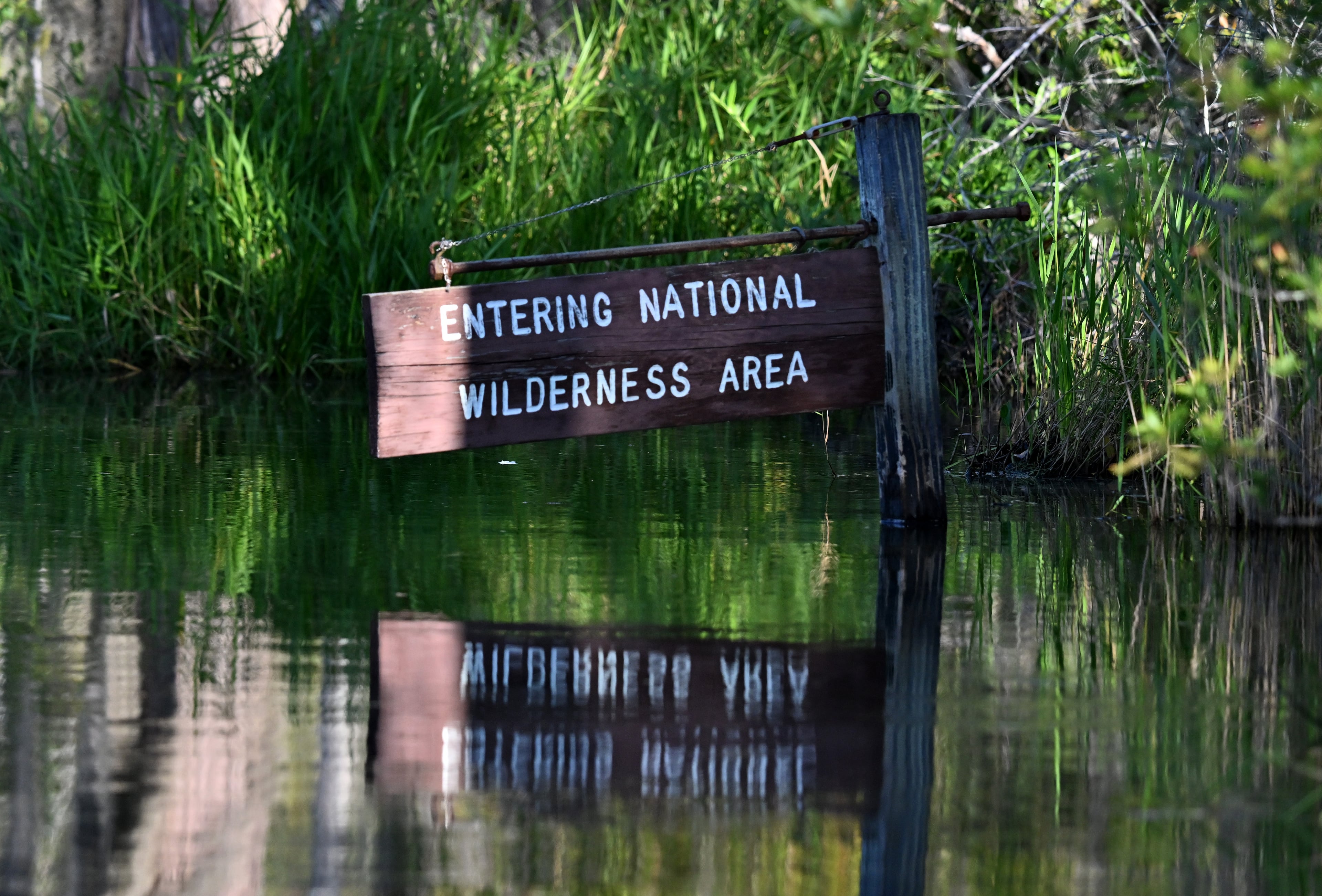 A sign marks the National Wilderness Area inside the Okefenokee National Wildlife Refuge. (Hyosub Shin/AJC 2025)