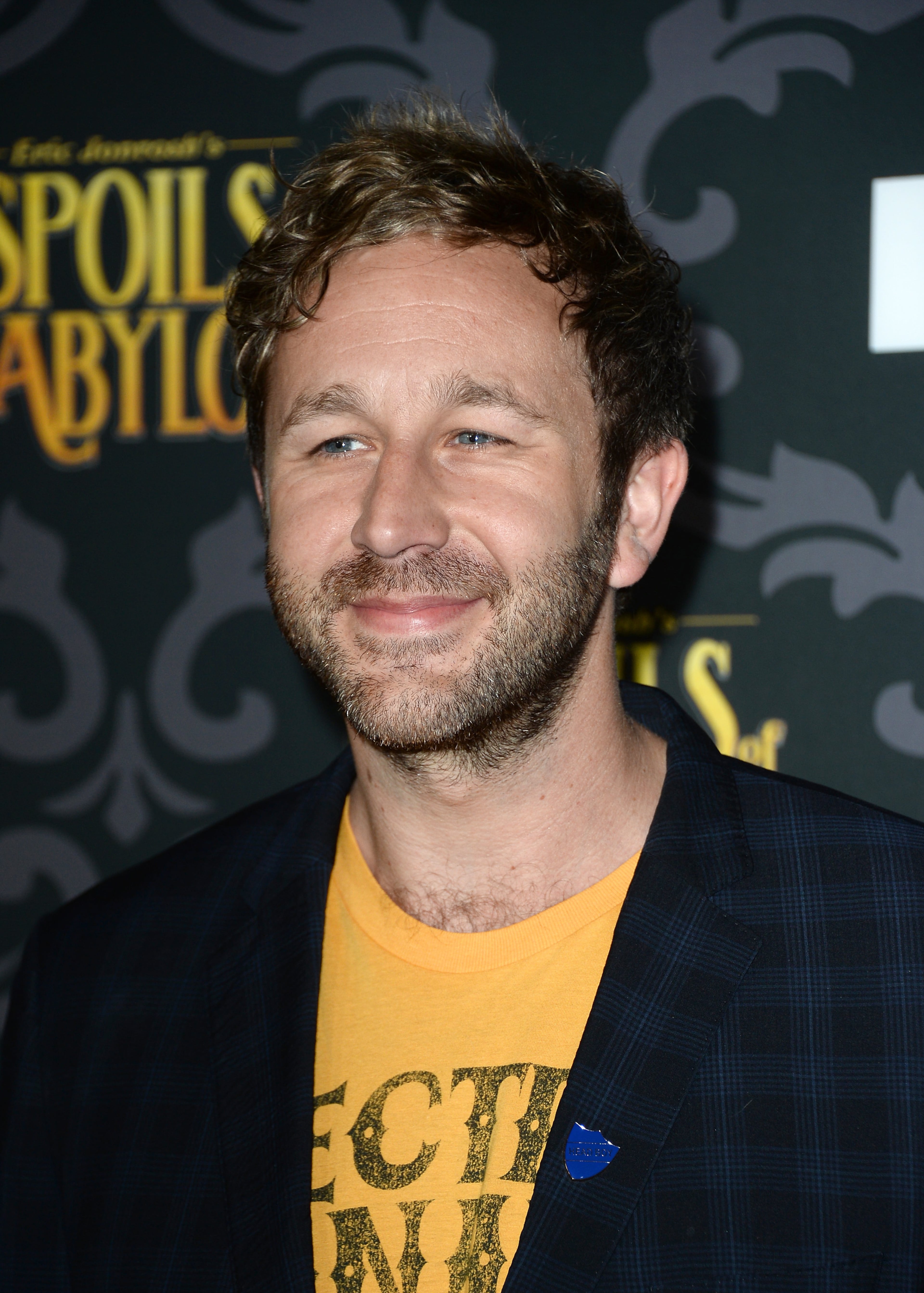 Actor Chris O'Dowd attends the screening of IFC's "The Spoils Of Babylon" at DGA Theater on January 7, 2014 in Los Angeles, California.