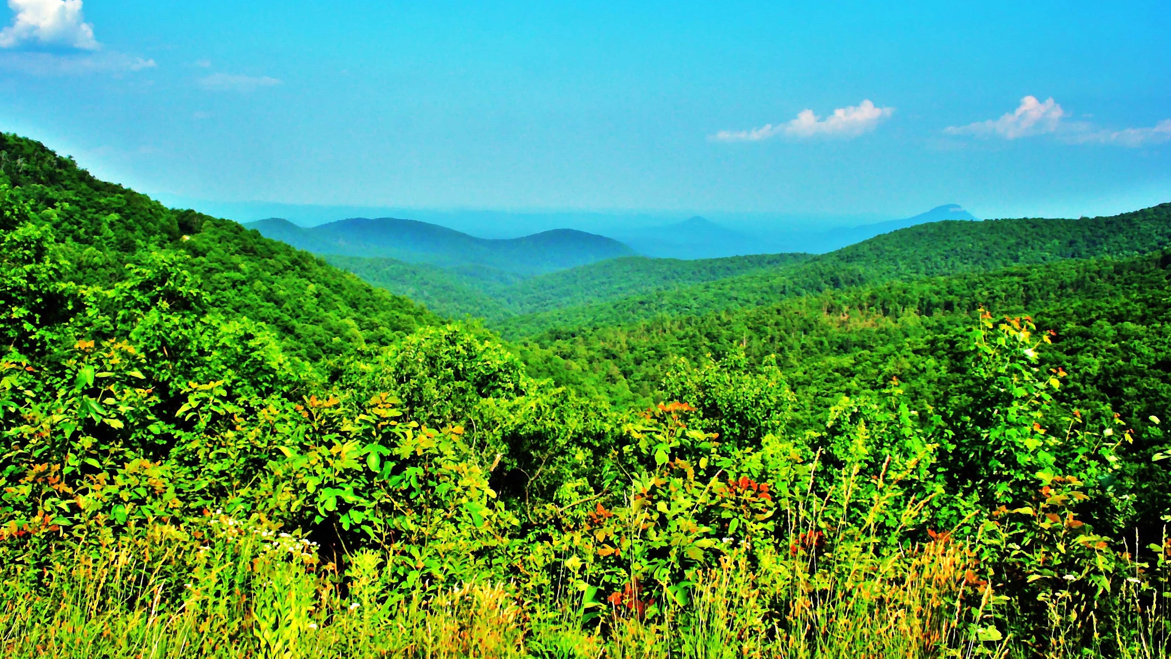 A view of the 9,115-acre Raven Cliffs Wilderness Area in the Chattaoochee National Forest in White County. Raven Cliffs is one of 14 congressionally designated wilderness areas in Georgia. (Charles Seabrook for the AJC)