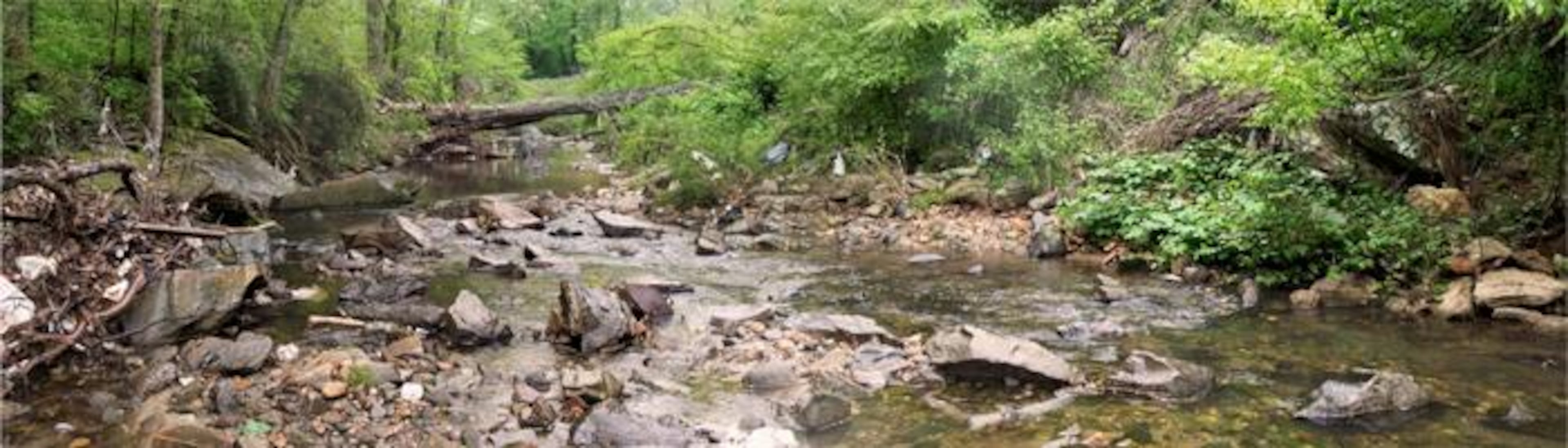 The Proctor Creek Watershed was among the targeted communities for brownfields assessment and it received EPA funds for revitalization. Courtesy of EPA